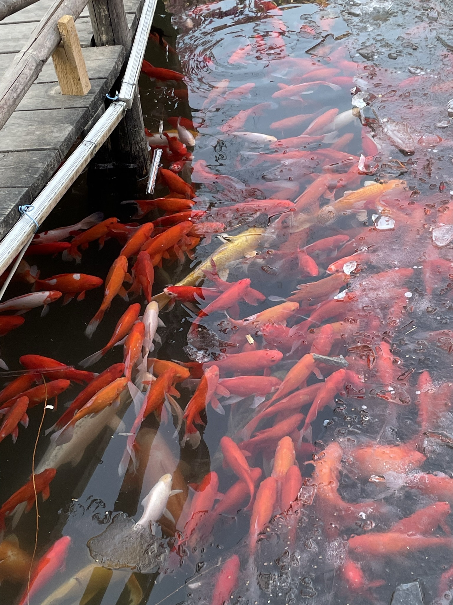竹泉村旅游度假区旅行图片 3