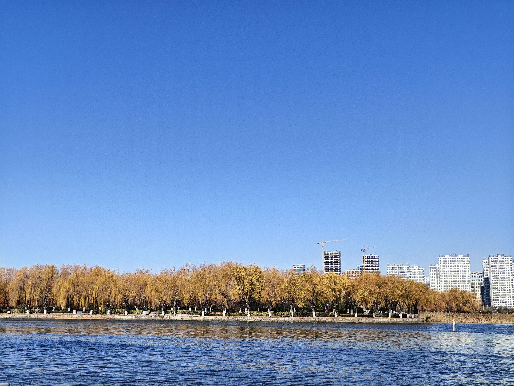沂蒙广场旅行图片 3
