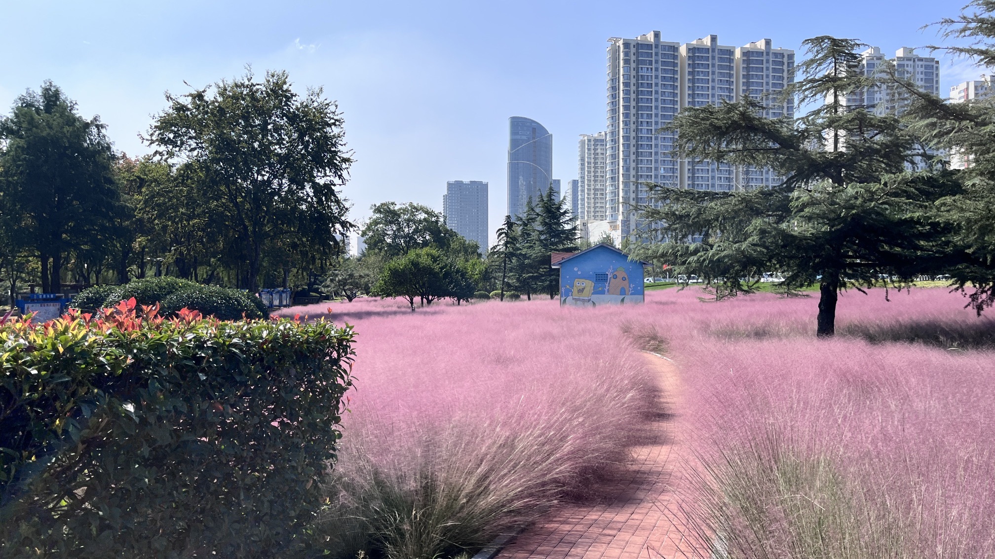 沂蒙广场旅行图片 2