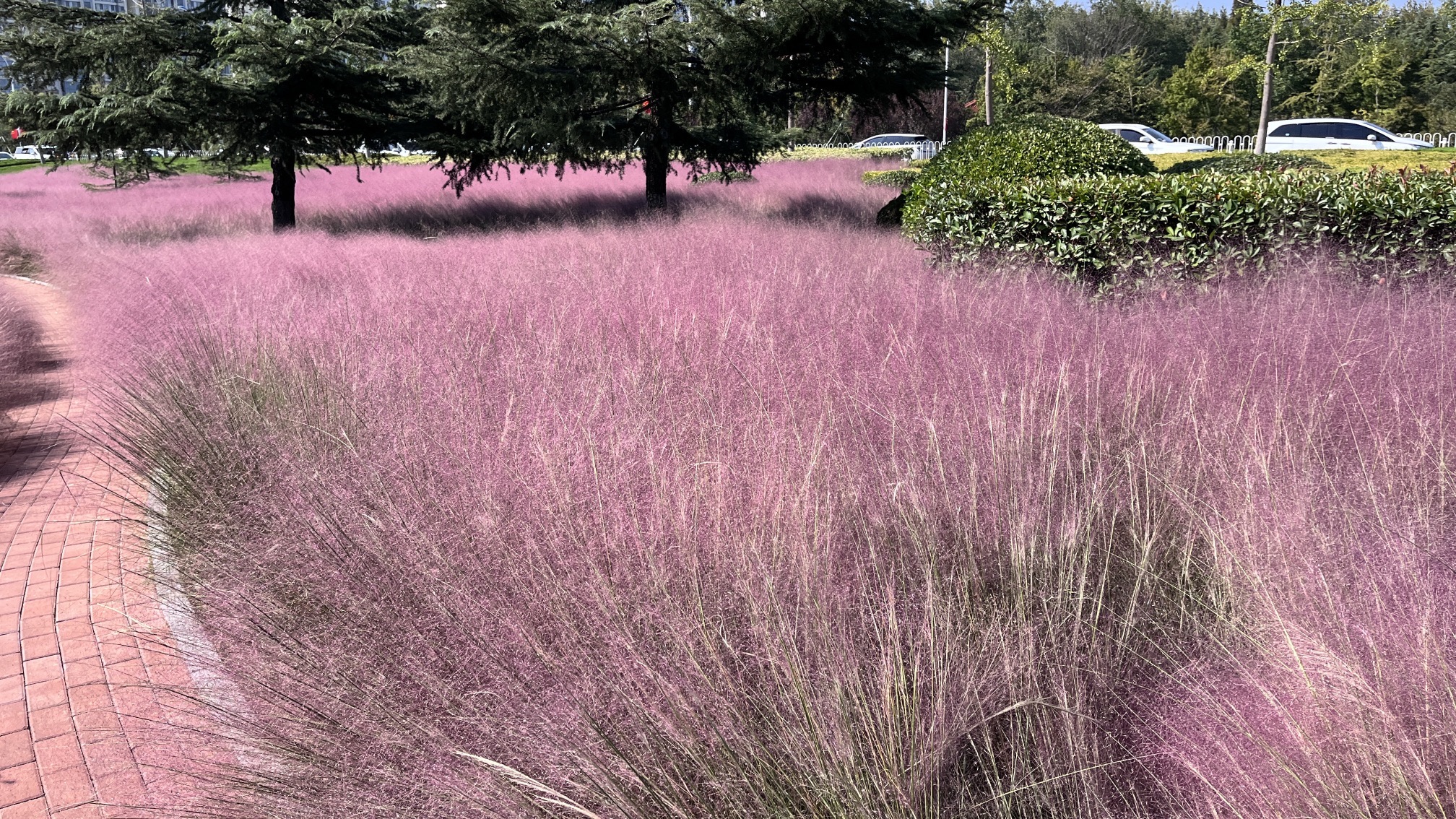 沂蒙广场旅行图片 1