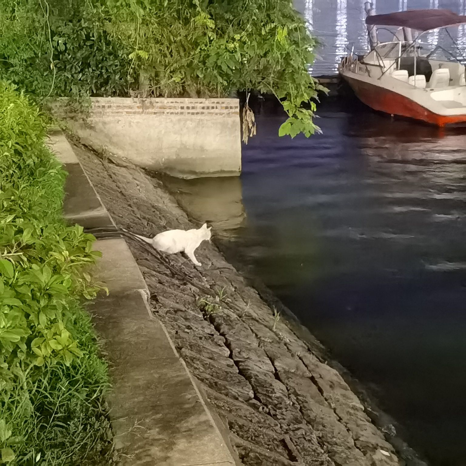 沂蒙广场旅行图片 3