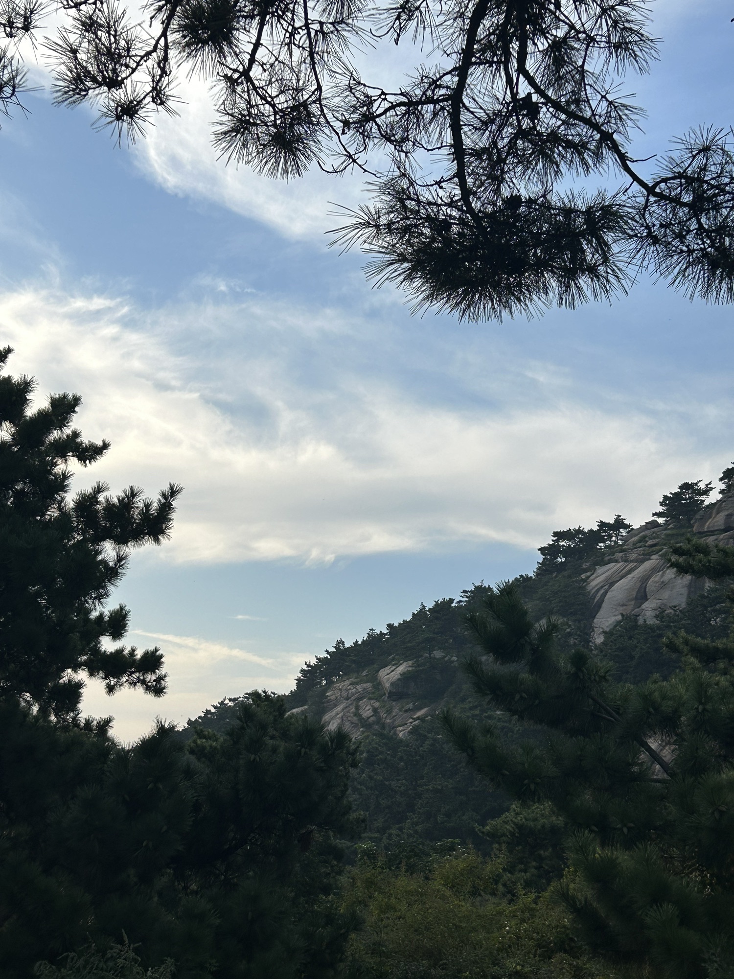 苍马山国际旅游度假区旅行图片 2