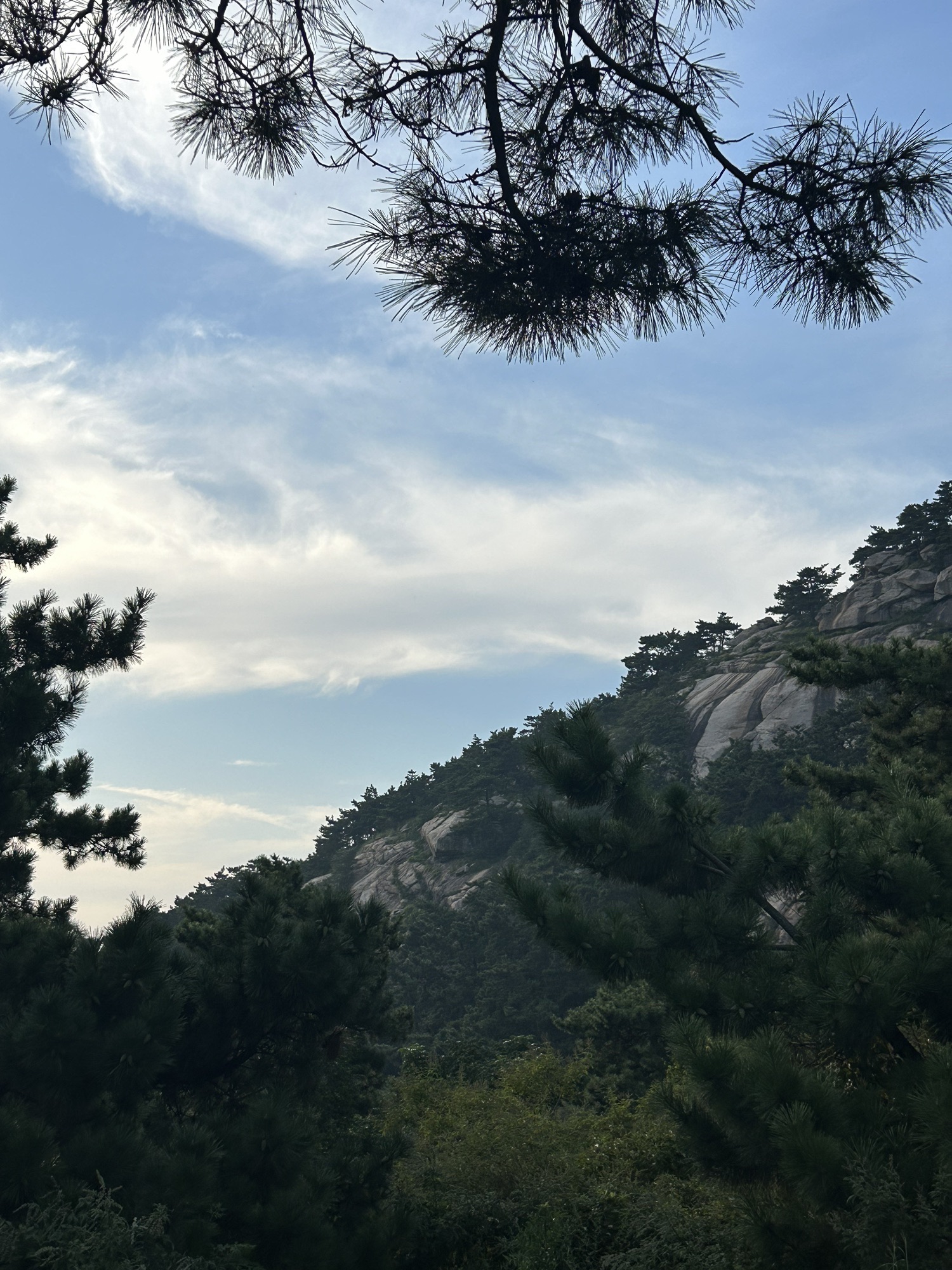 苍马山国际旅游度假区旅行图片 3