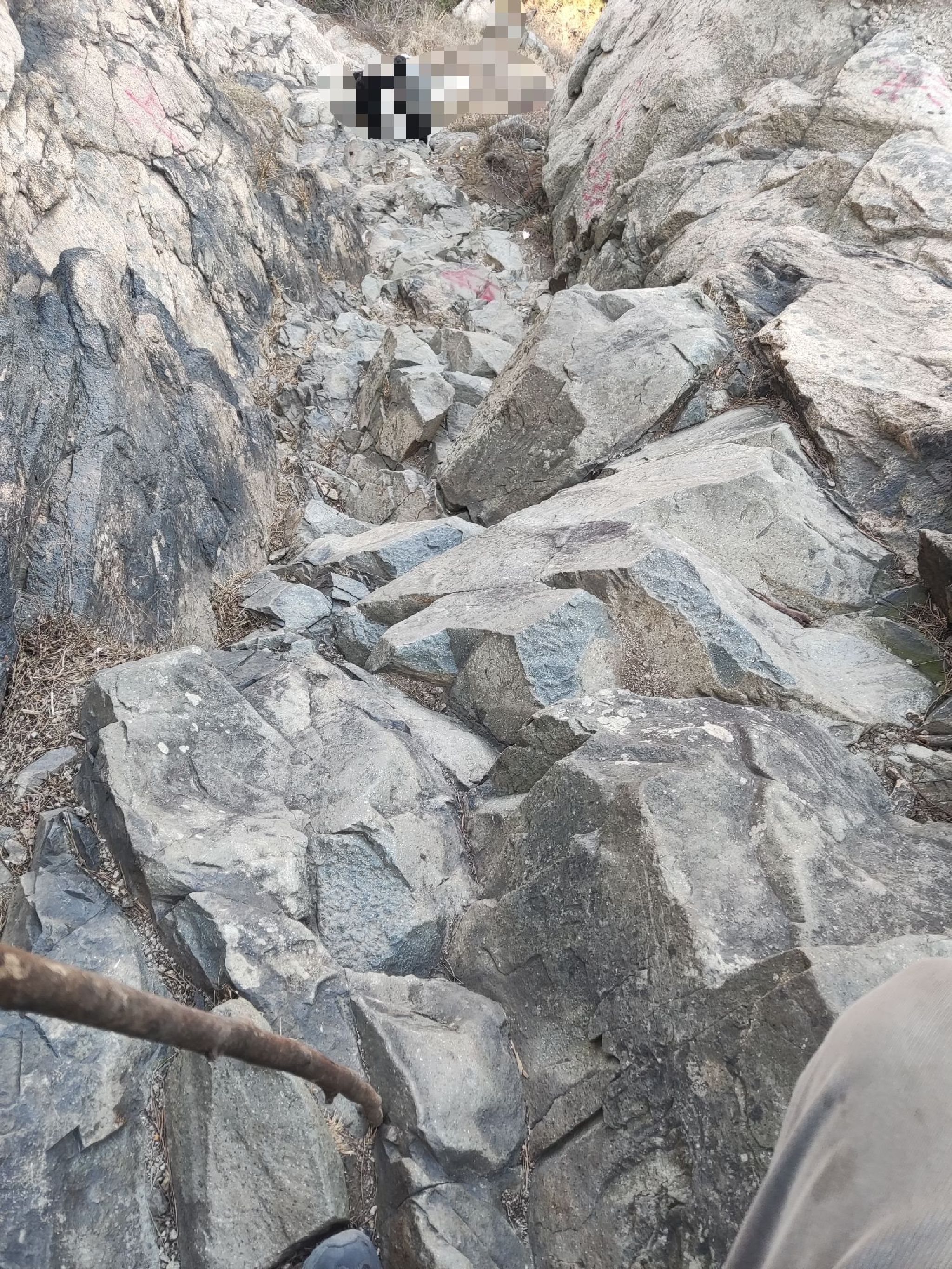 苍马山国际旅游度假区旅行图片 1