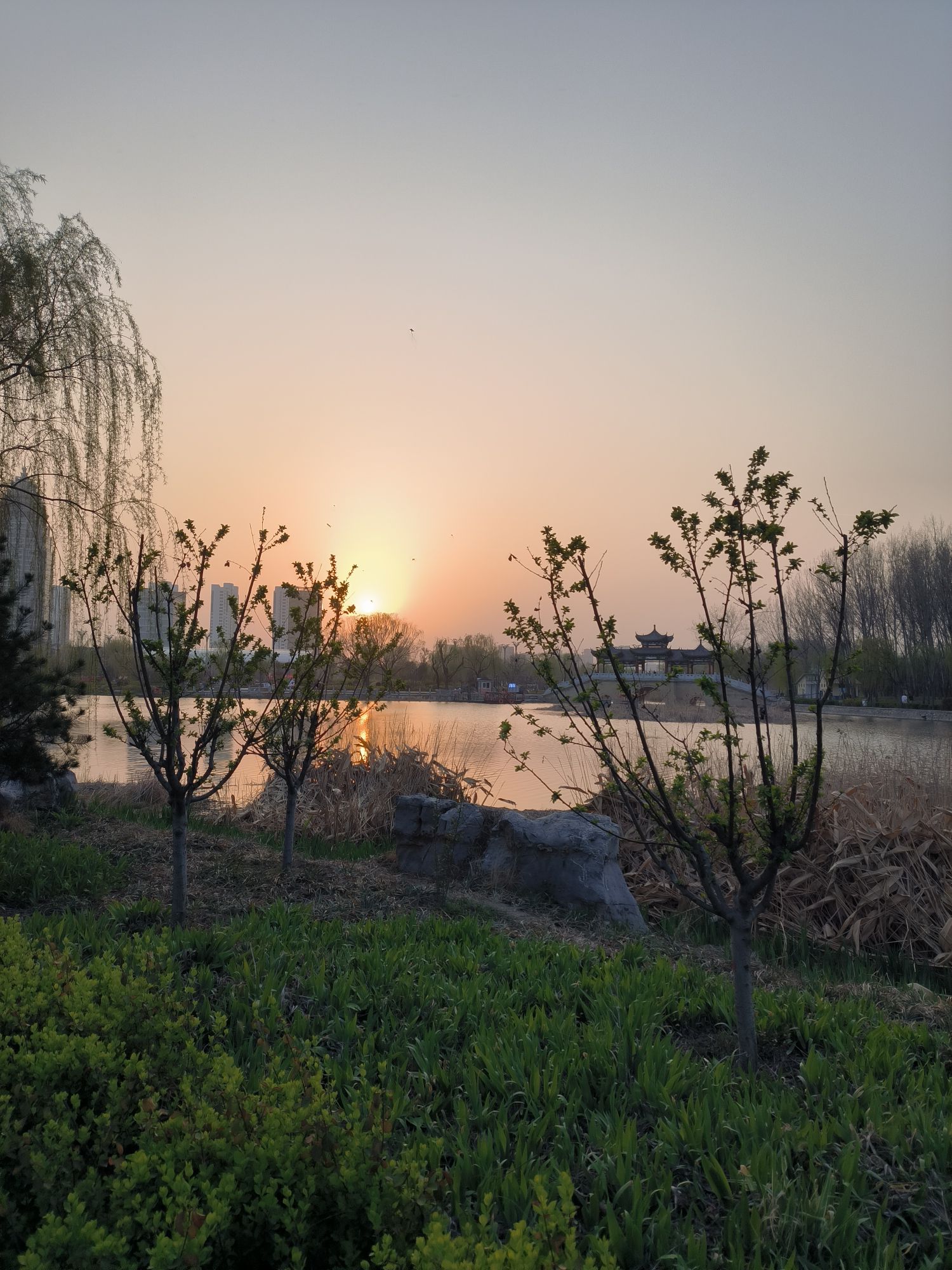双月湖公园旅行图片 3