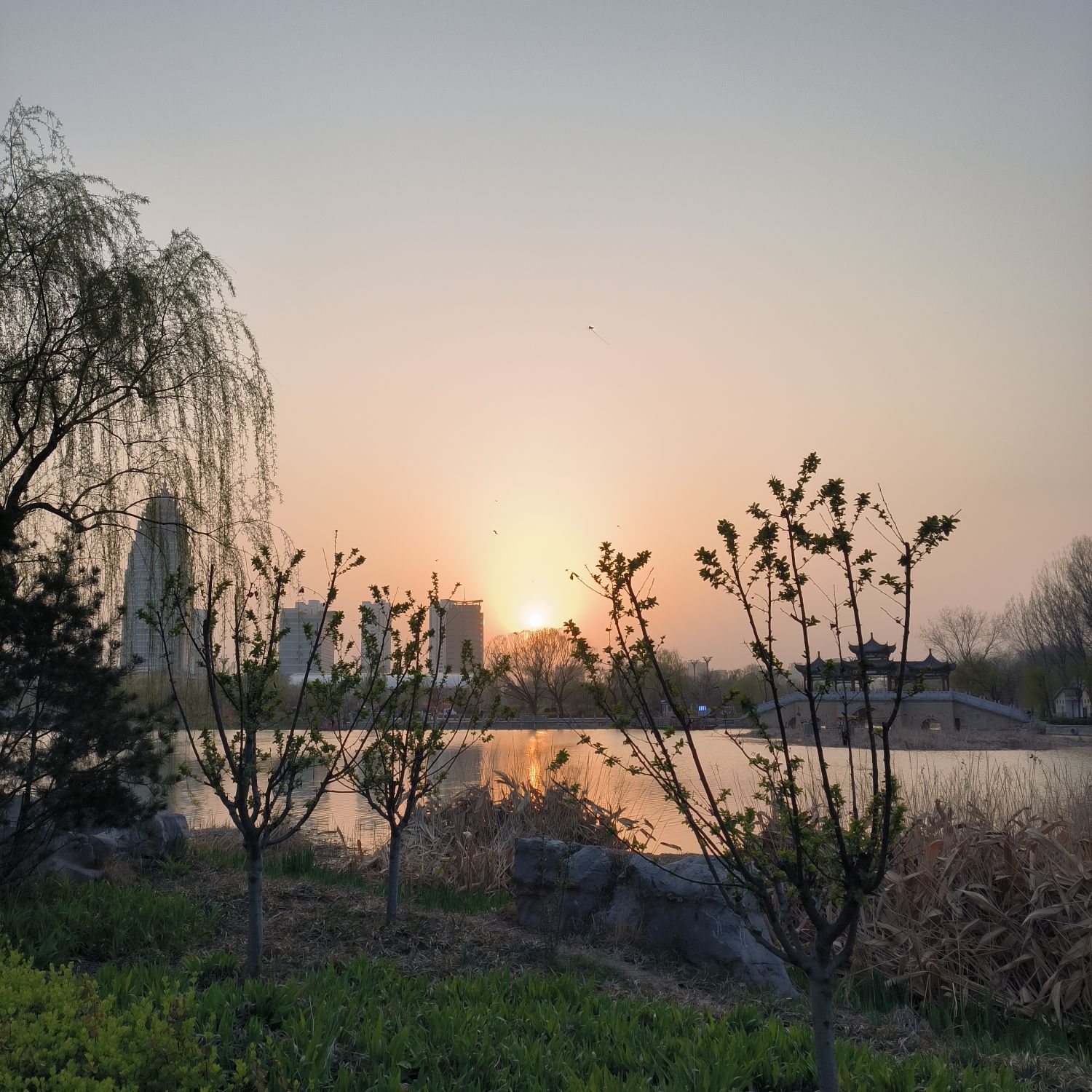 双月湖公园旅行图片 2