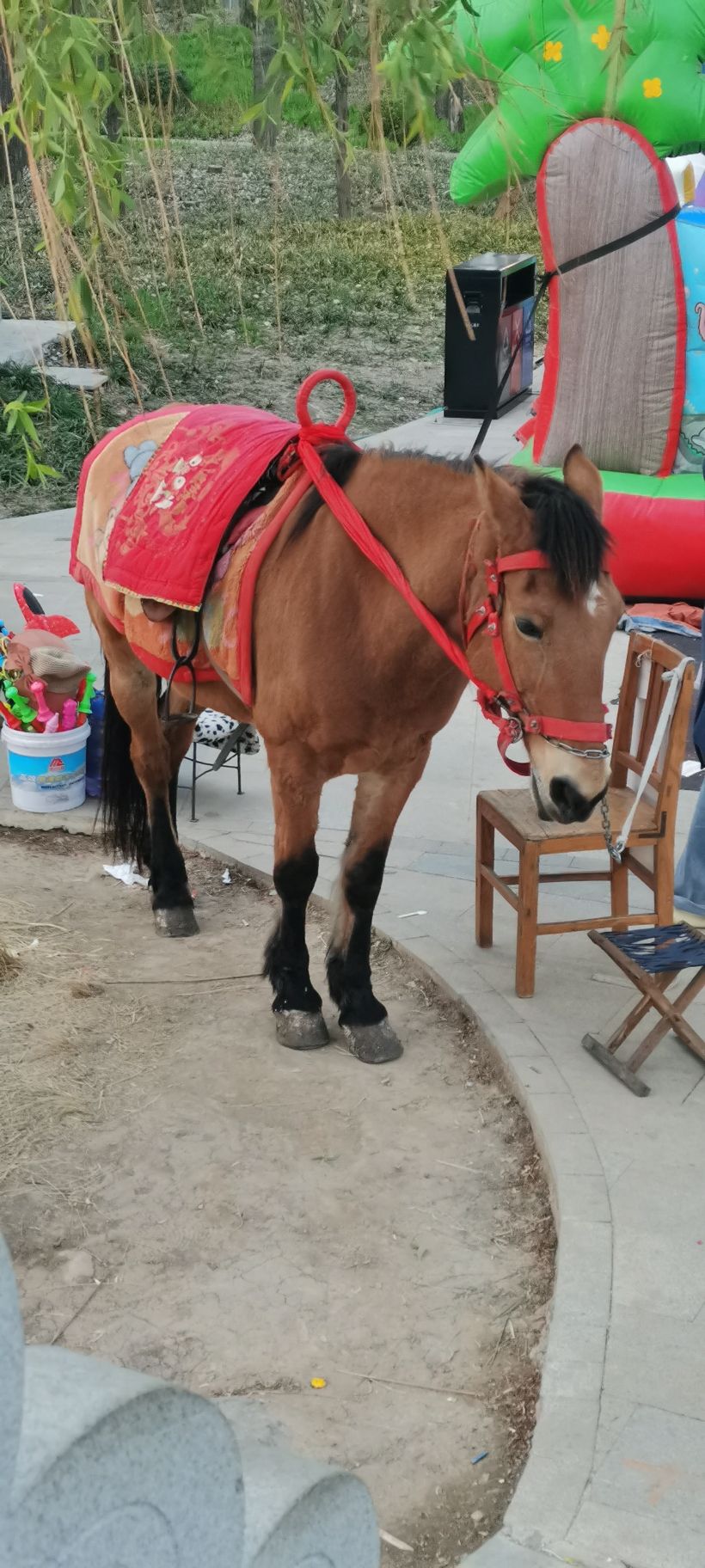 双月湖公园旅行图片 2
