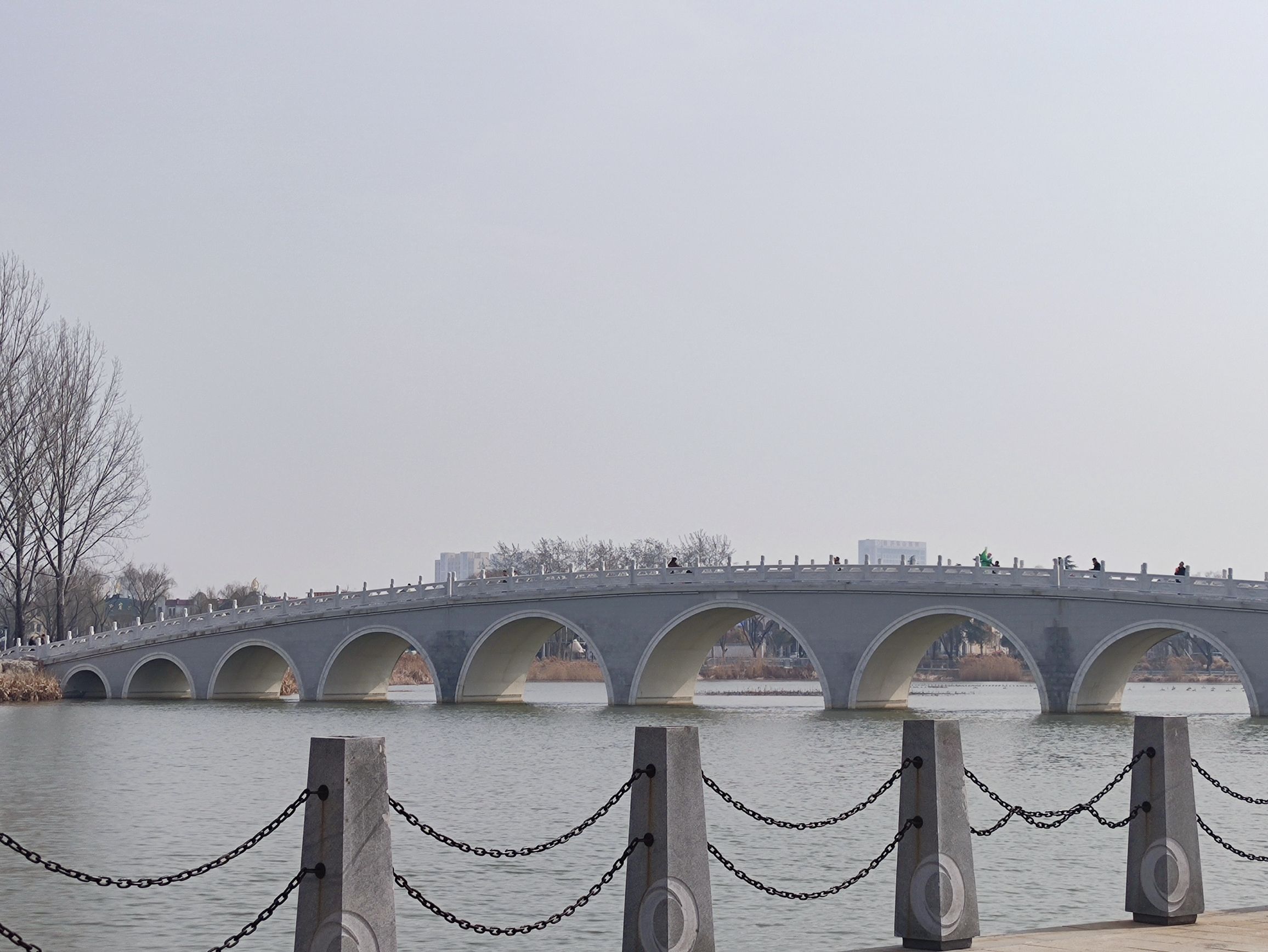 双月湖公园旅行图片 1