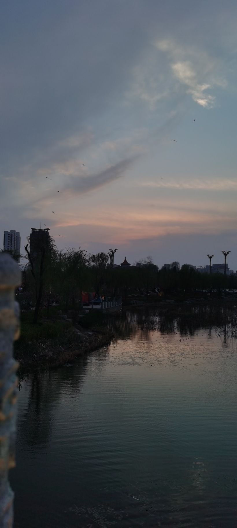 双月湖公园旅行图片 3