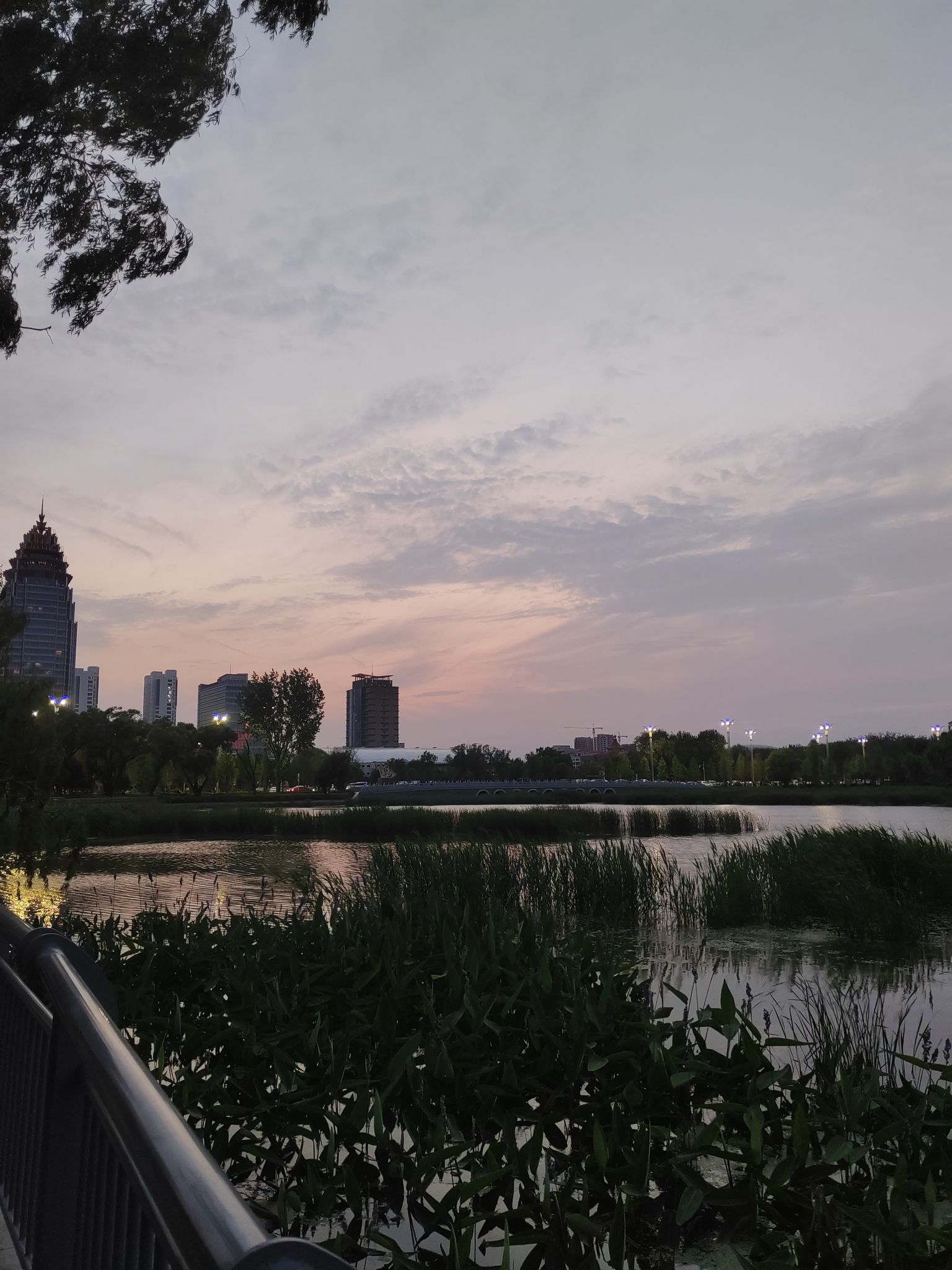 双月湖公园旅行图片 3