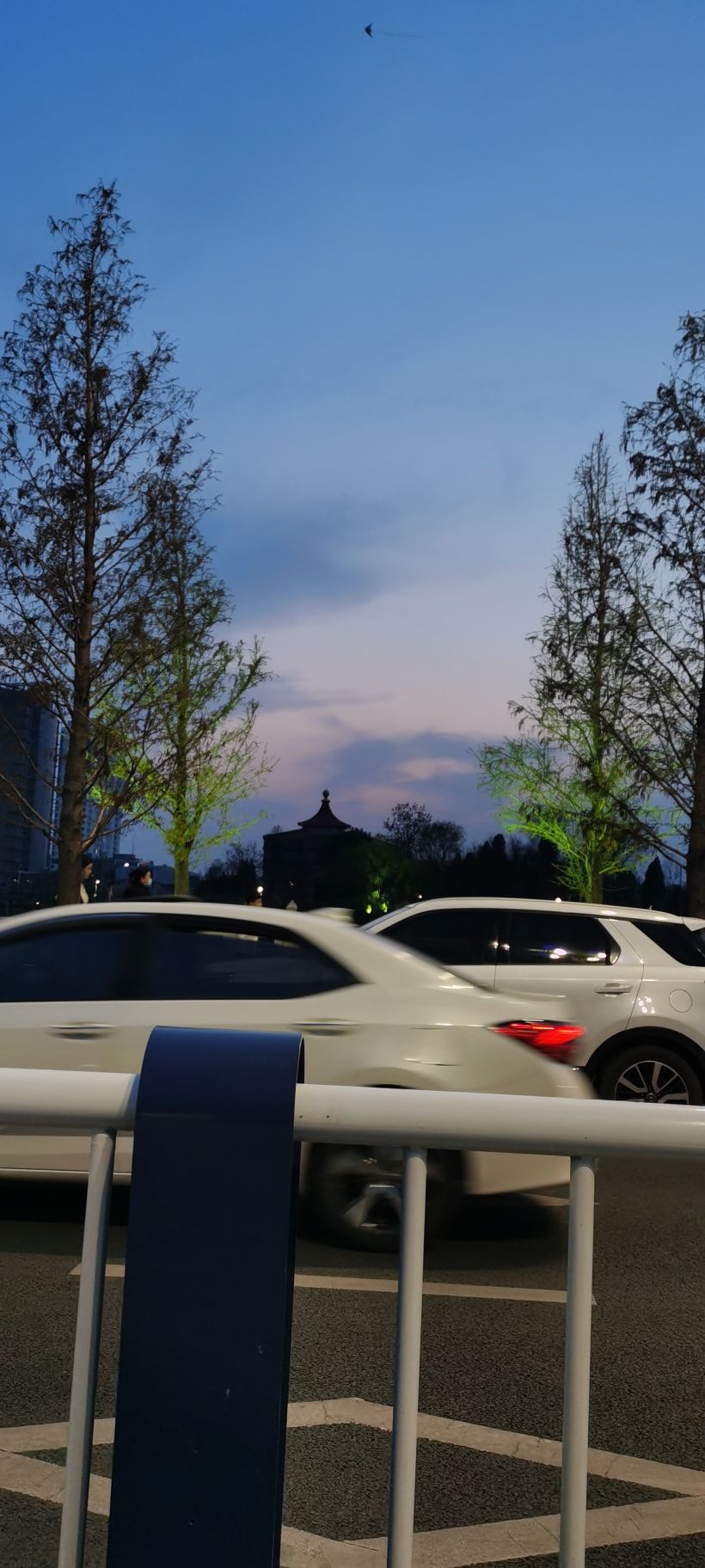 双月湖公园旅行图片 1