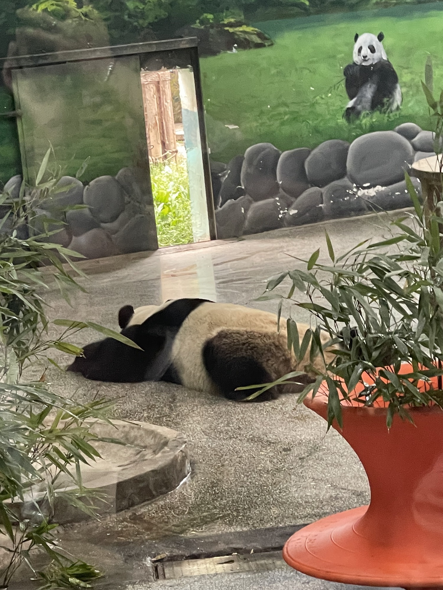 临沂动植物园旅行图片 1