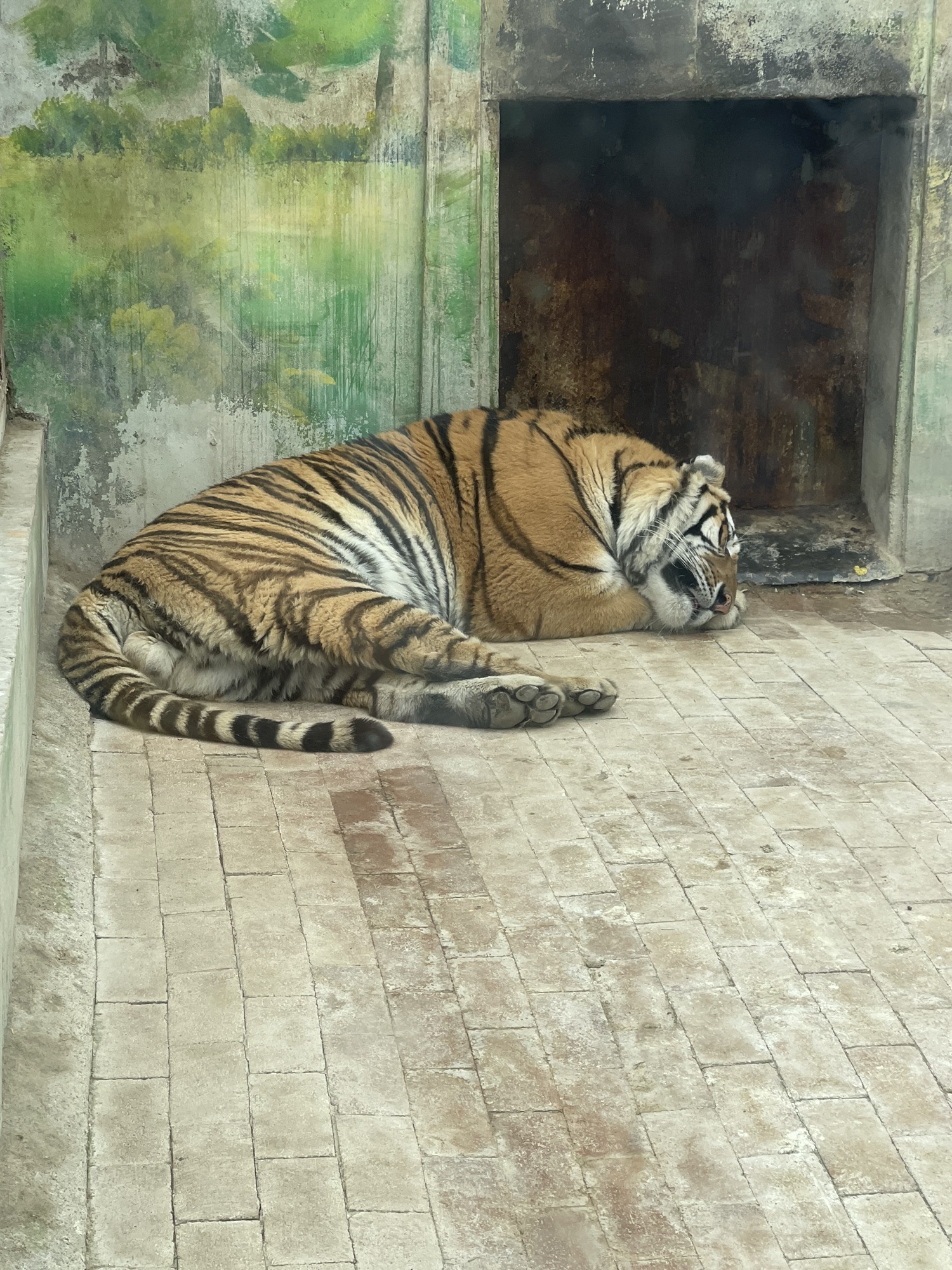 临沂动植物园旅行图片 3