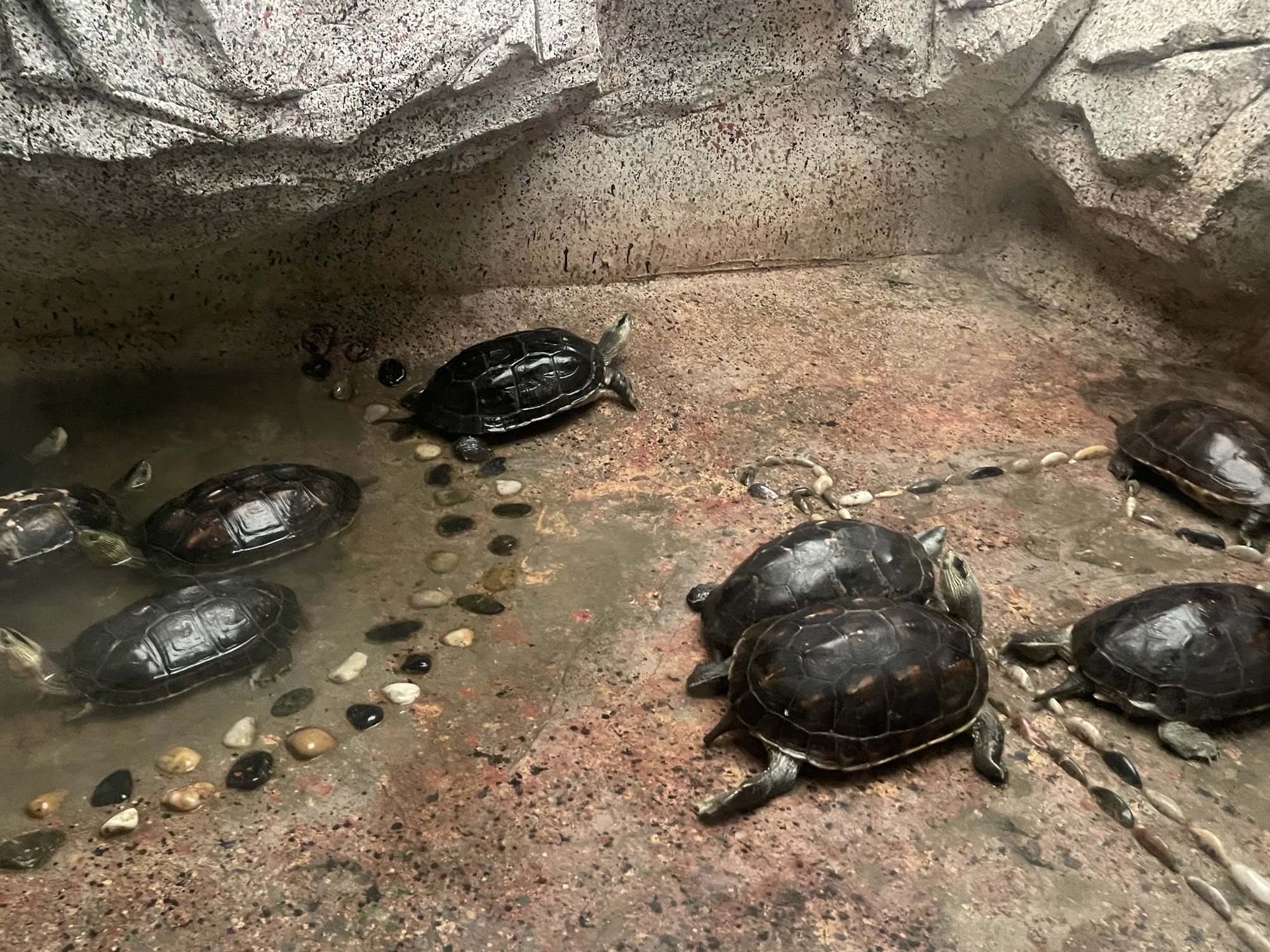 临沂动植物园旅行图片 3