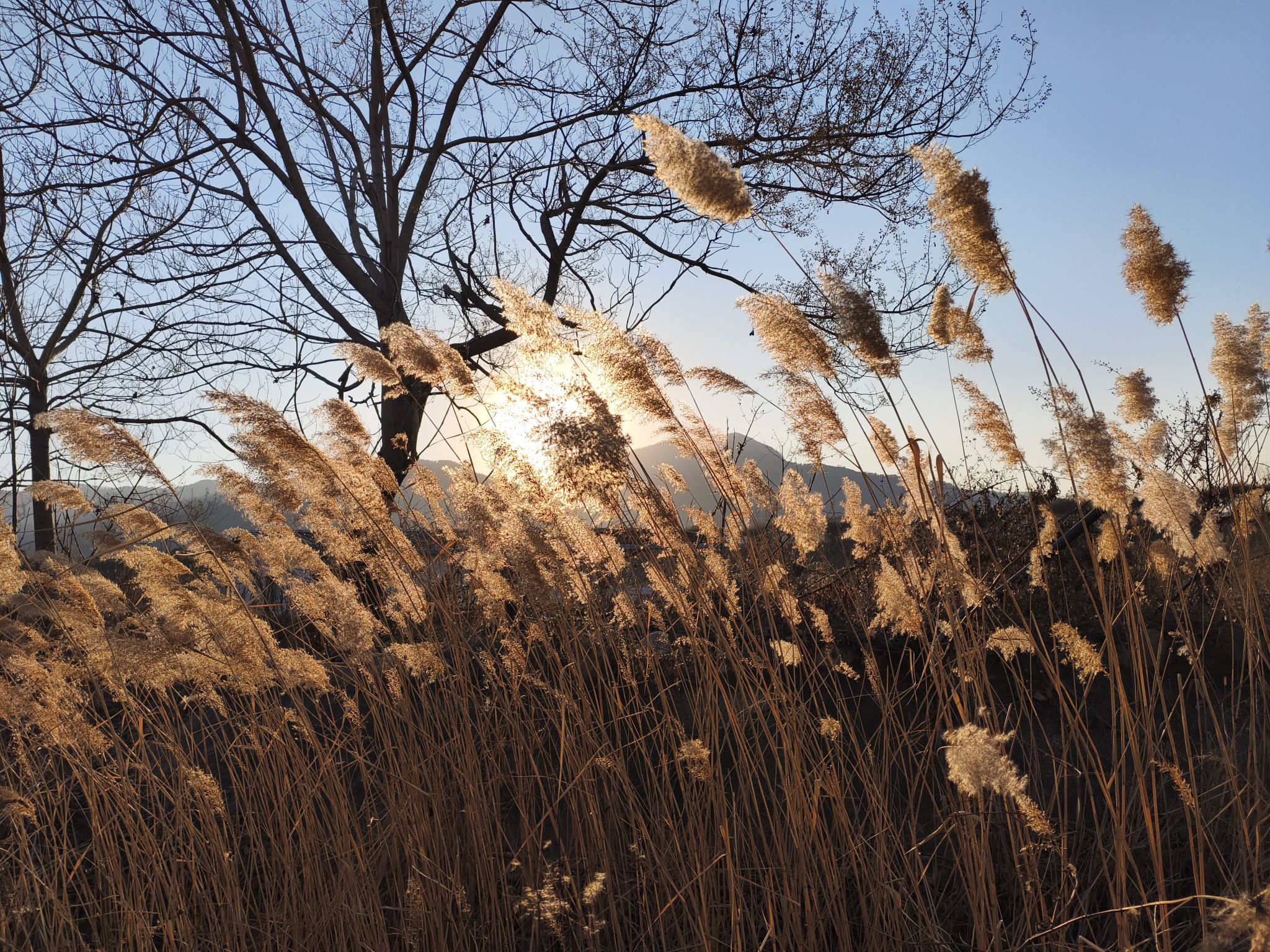 蒙山金伯利钻石矿景区旅行图片 2