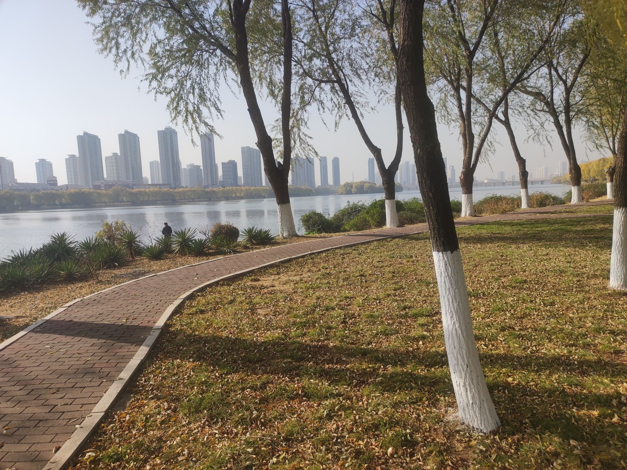 澜泊湾广场旅行图片 1
