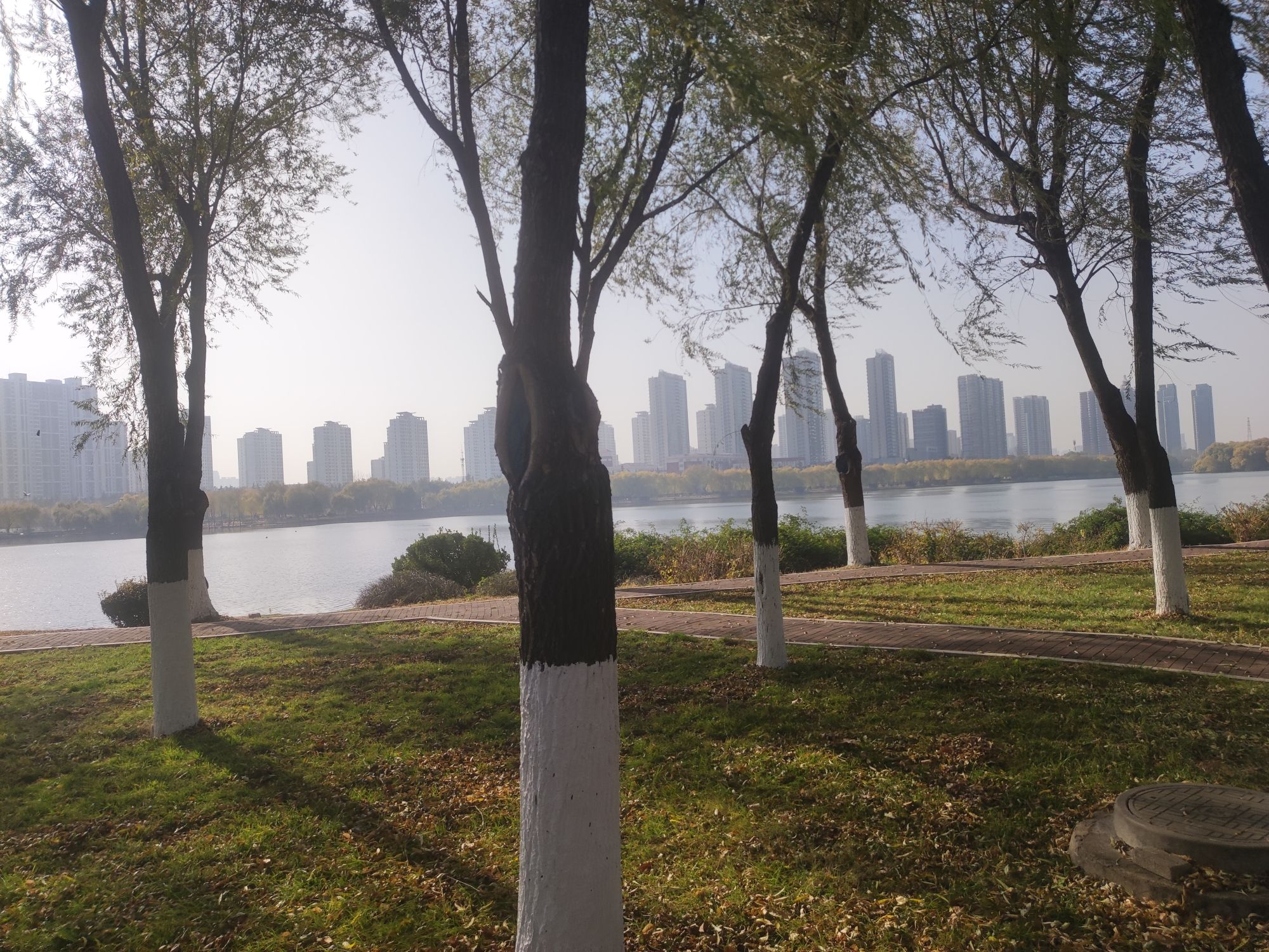 澜泊湾广场旅行图片 3