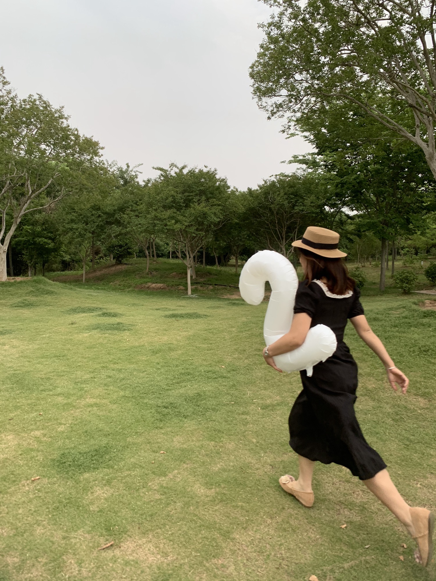正直汽车主题公园旅行图片 1
