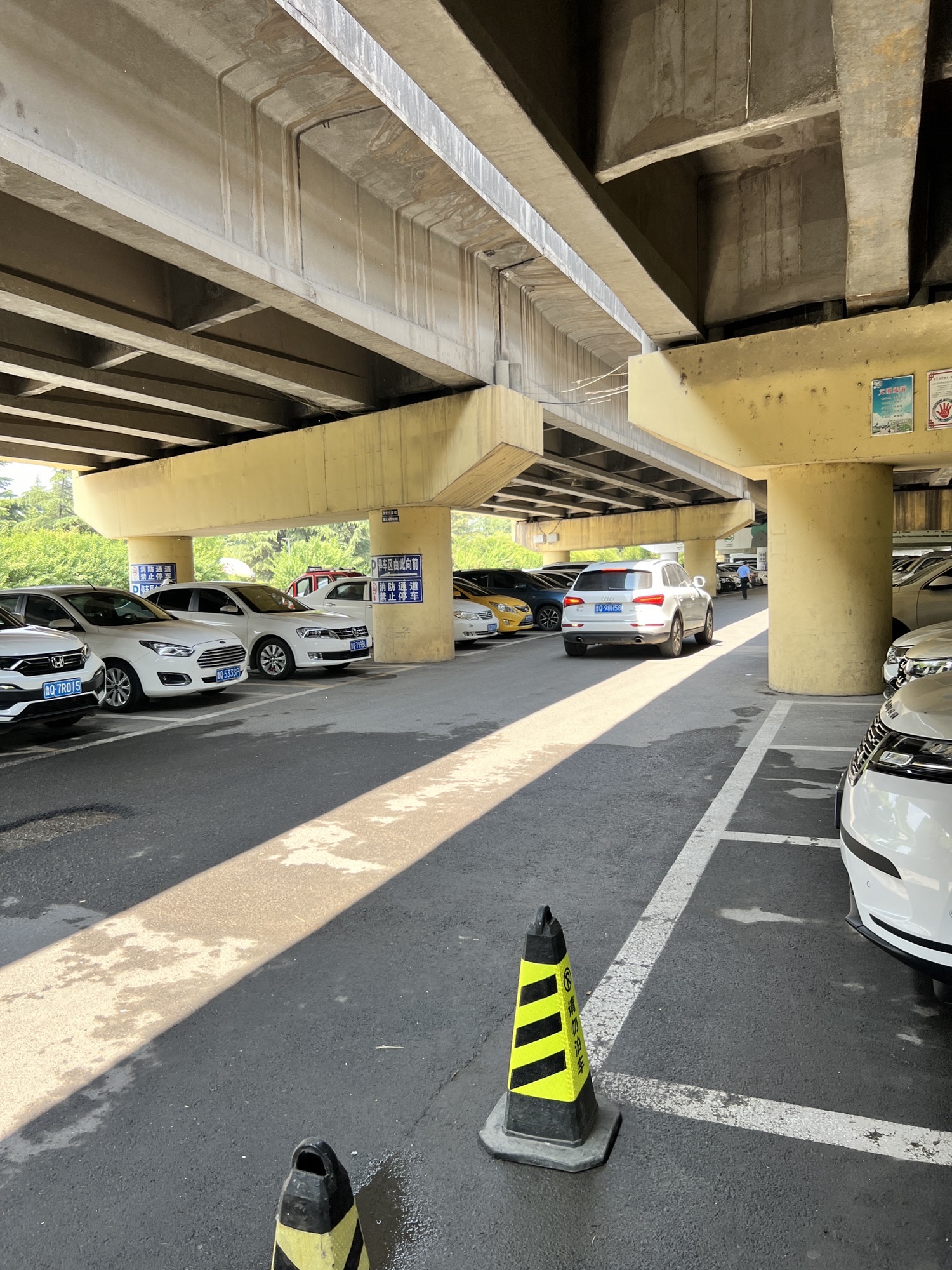 正直汽车主题公园旅行图片 3