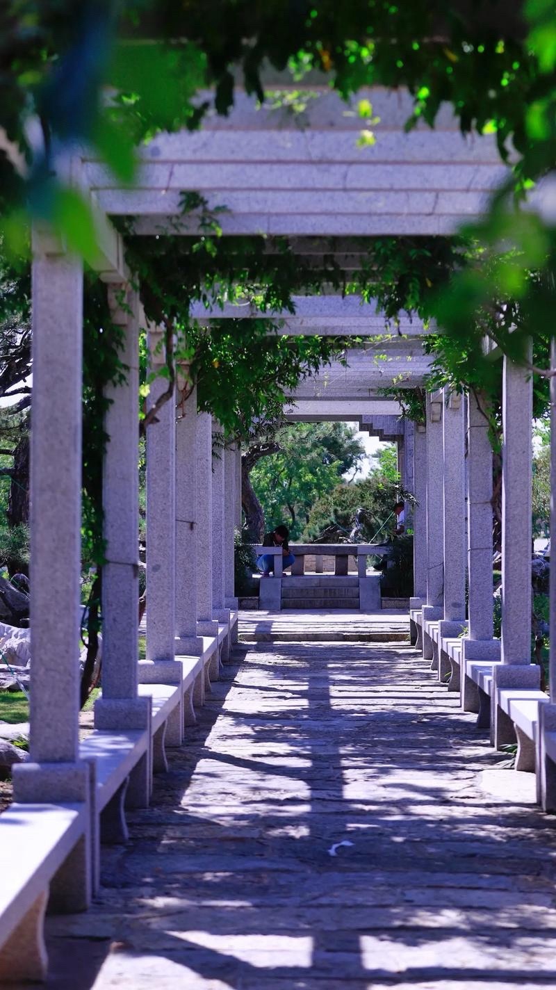 正直汽车主题公园旅行图片 2