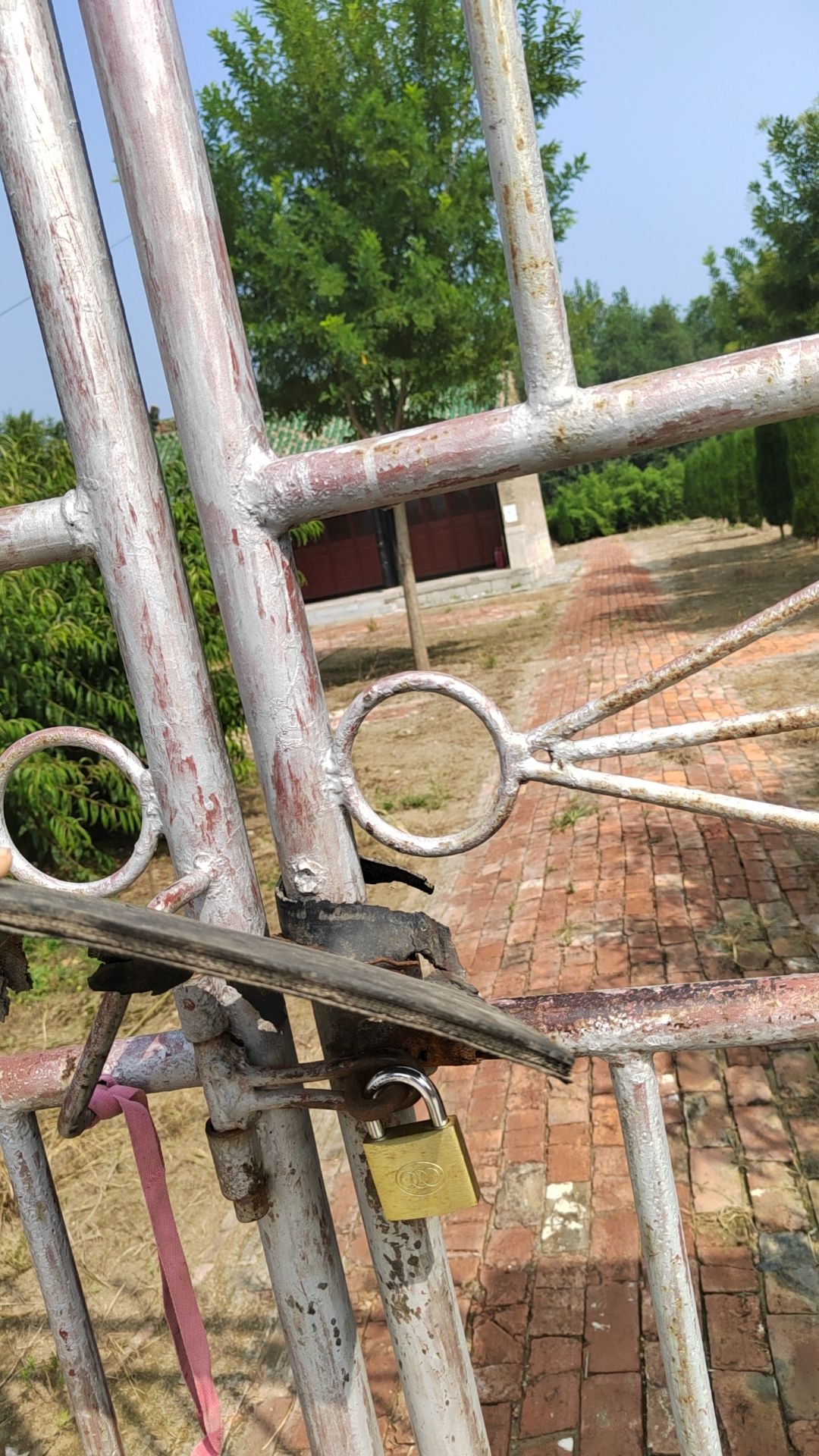 泰山行宫旅行图片 2