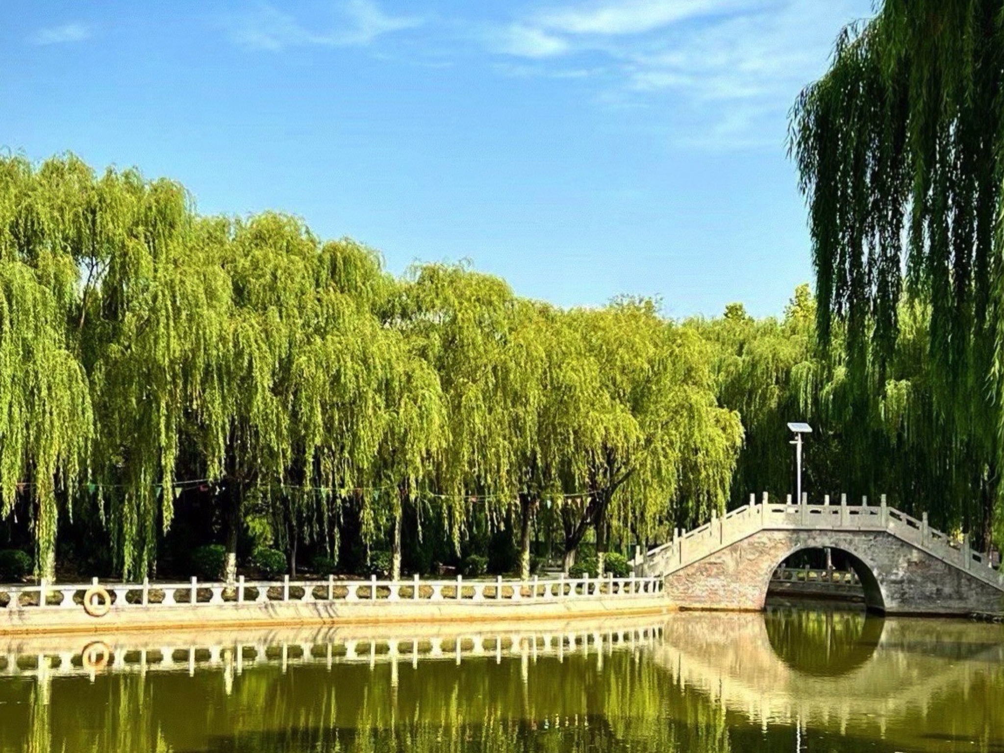武圣园旅行图片 3