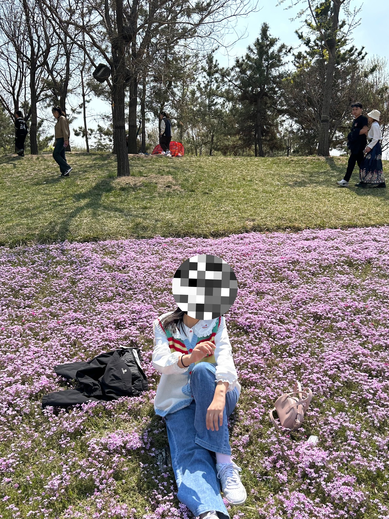 中海公园旅行图片 2