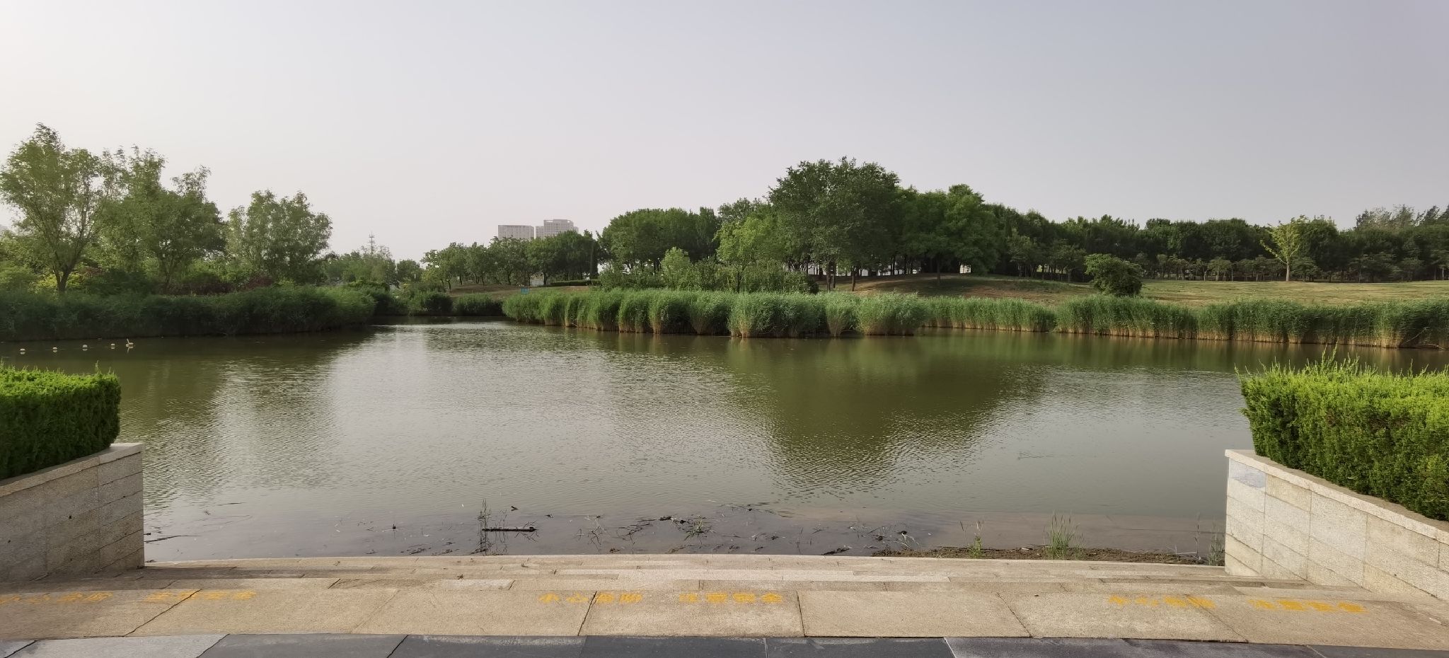 中海公园旅行图片 1