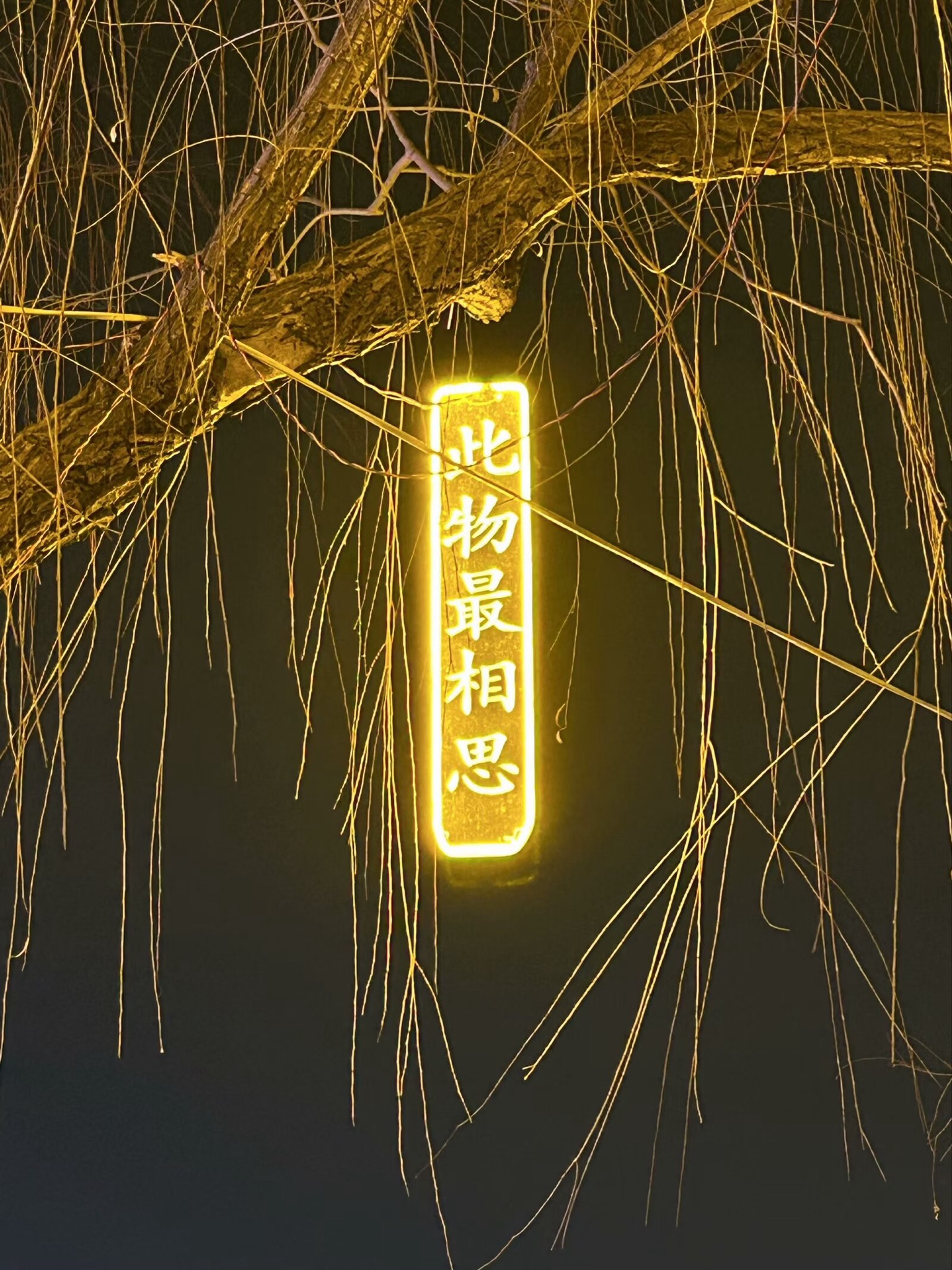 中海公园旅行图片 3