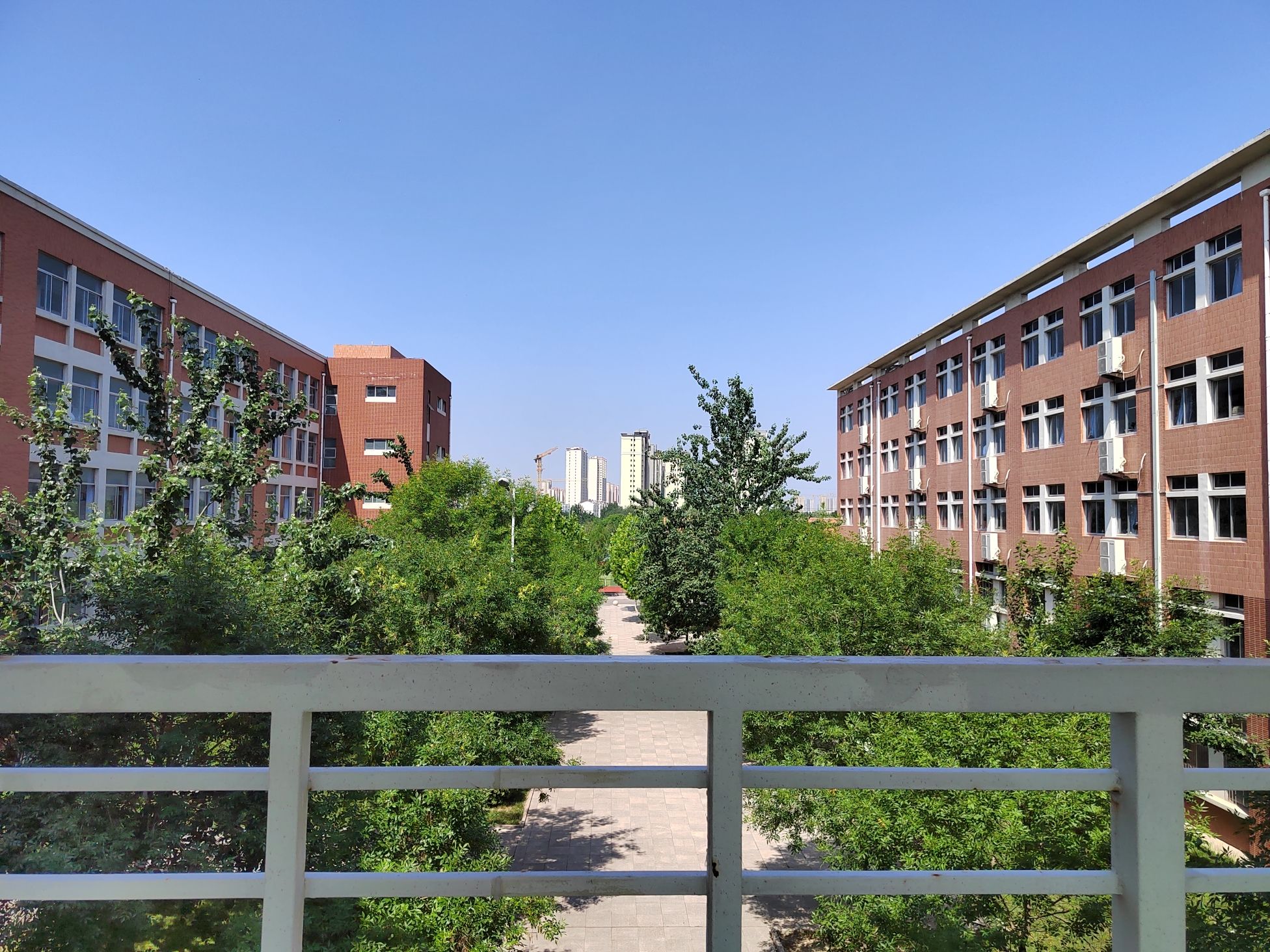 山东省滨州市第一高级中学