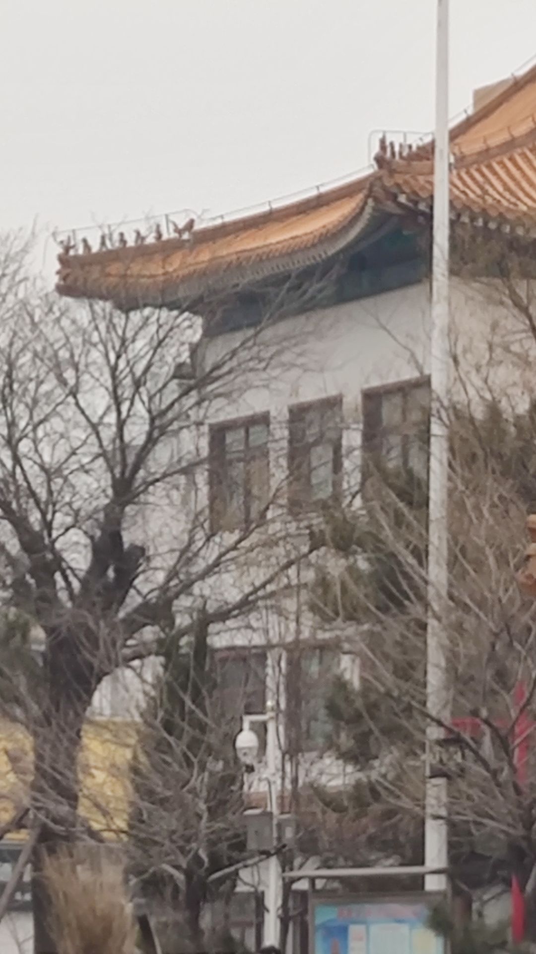颐园旅行图片 2