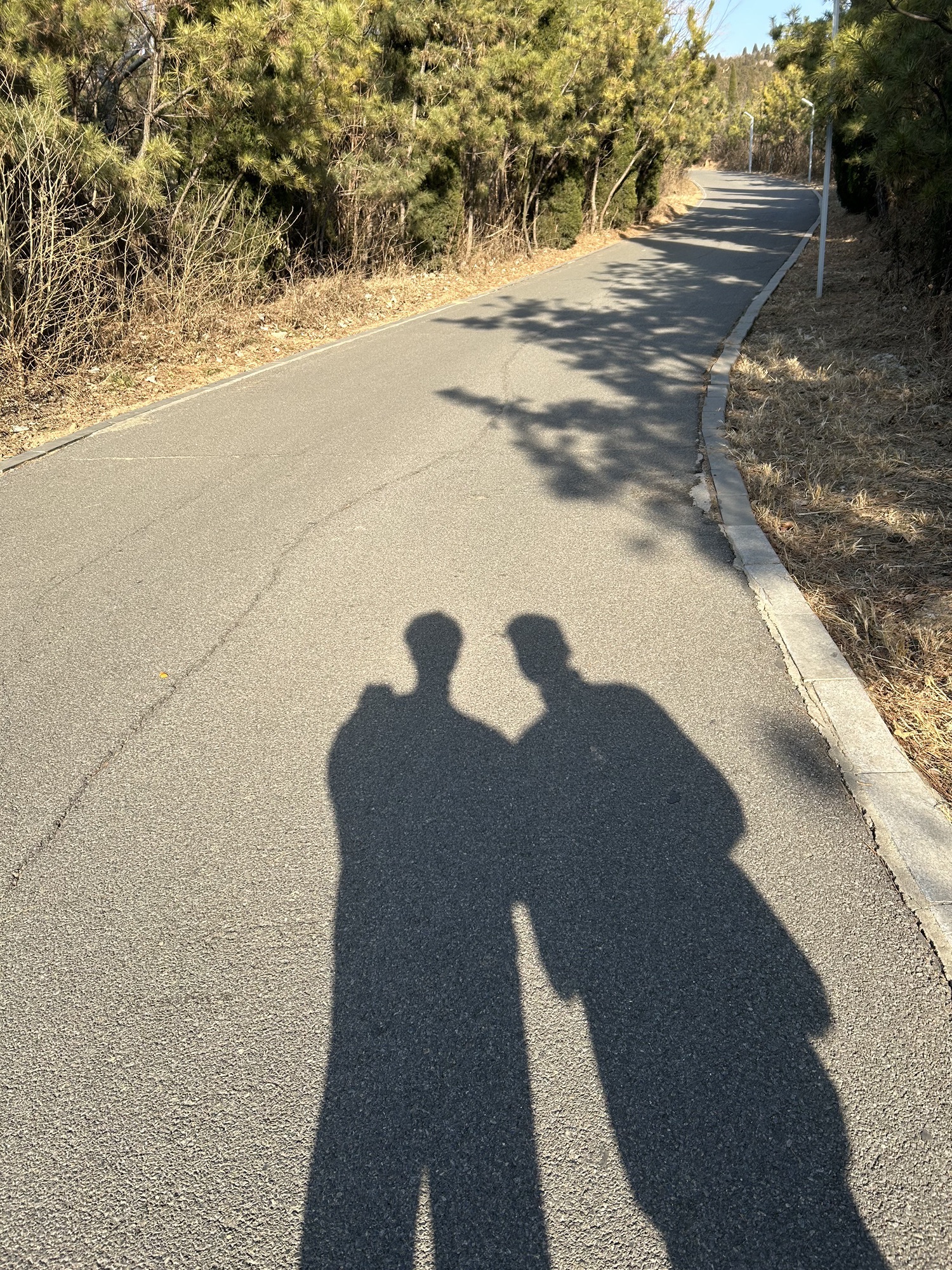 黄山广场旅行图片 3