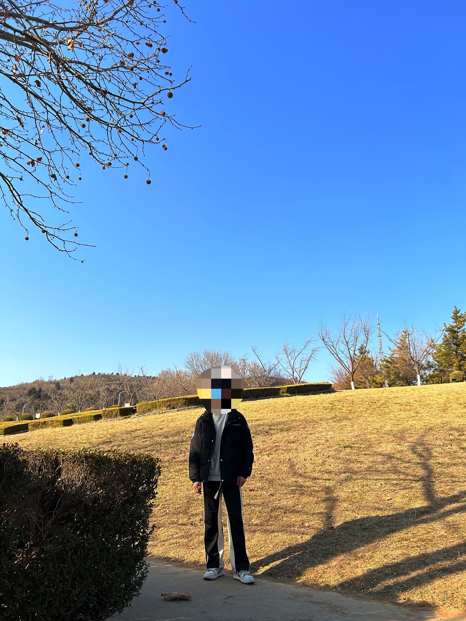 黄山广场旅行图片 1