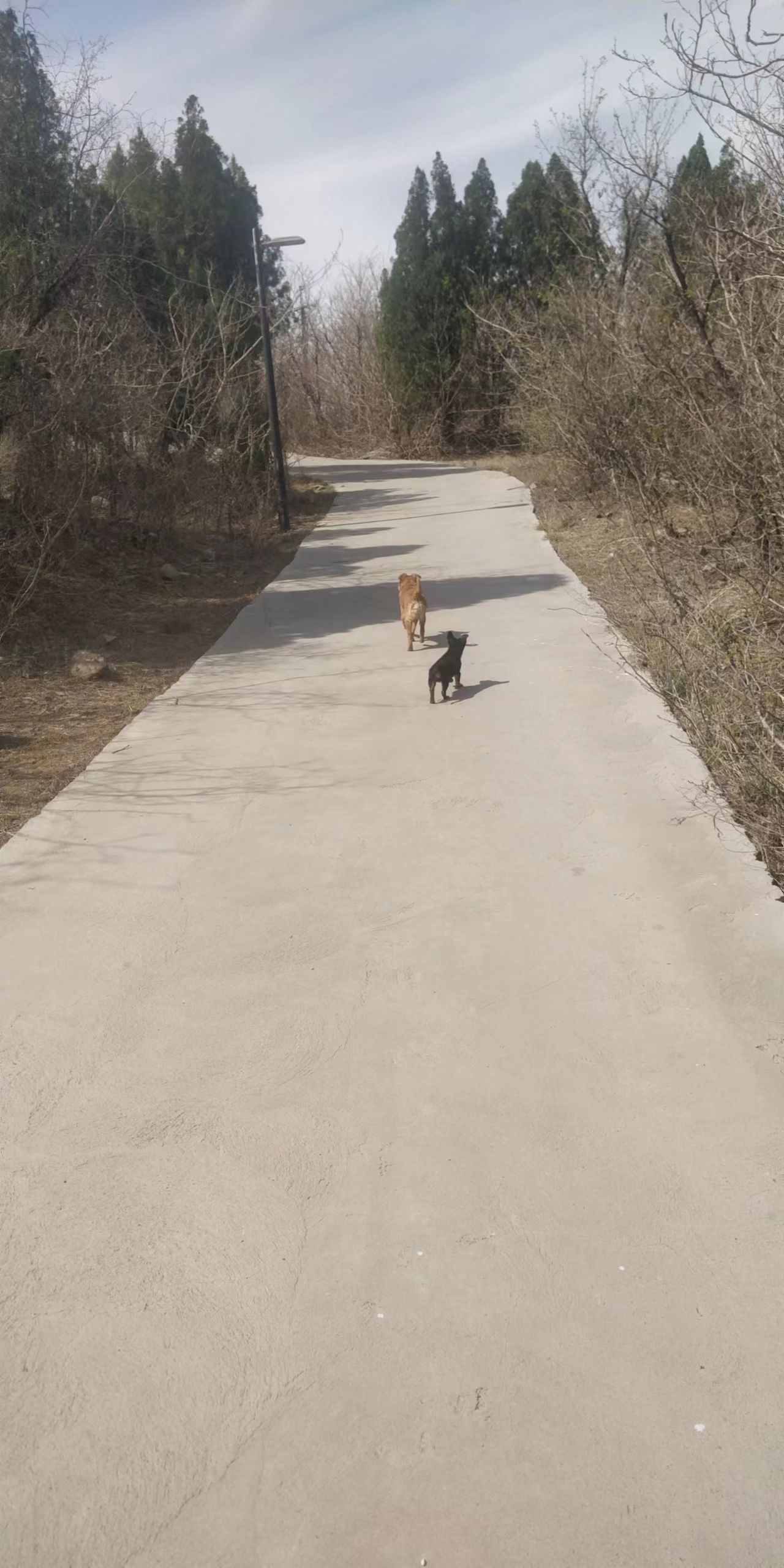 黄山广场旅行图片 3