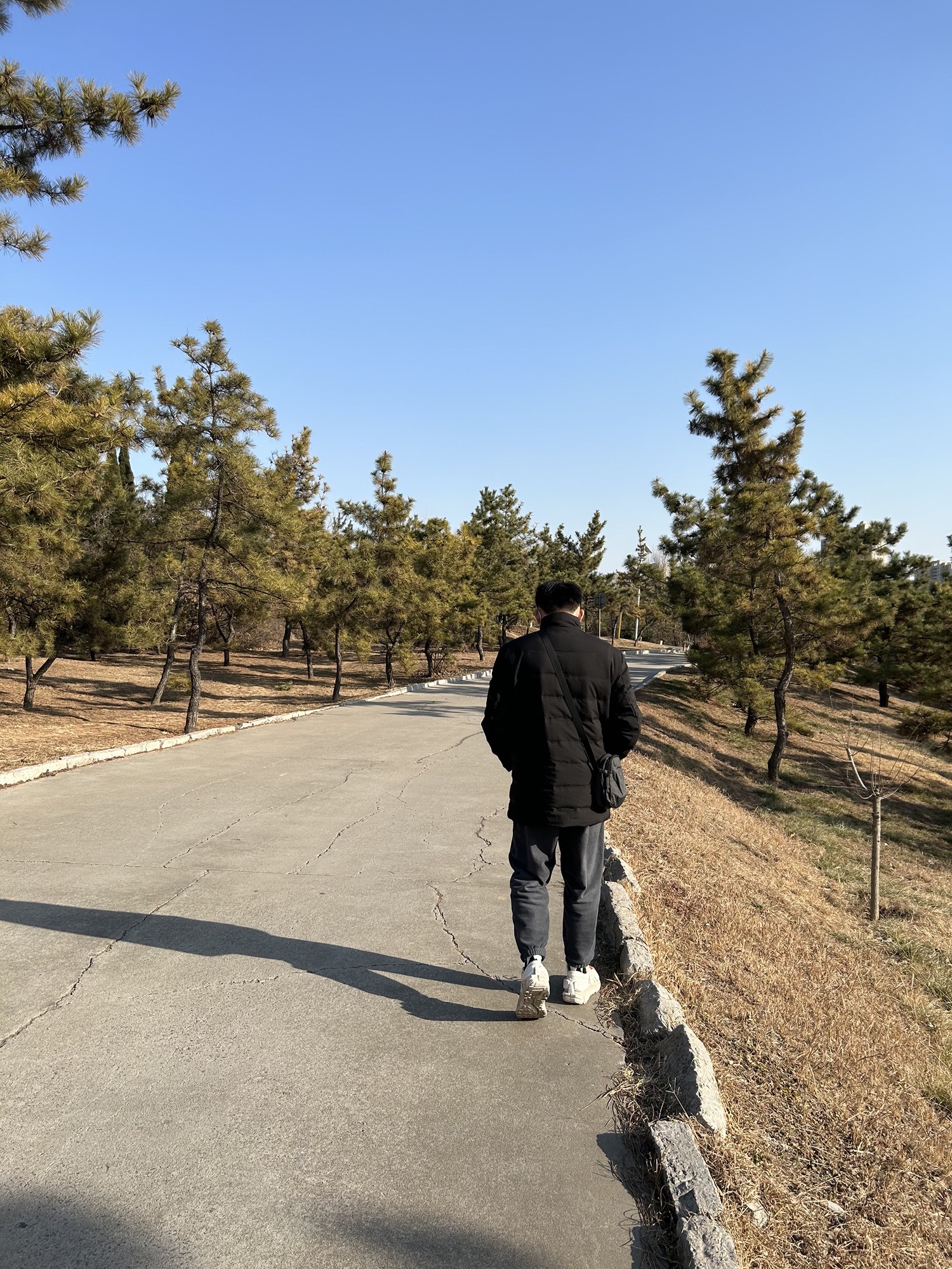 黄山广场旅行图片 2