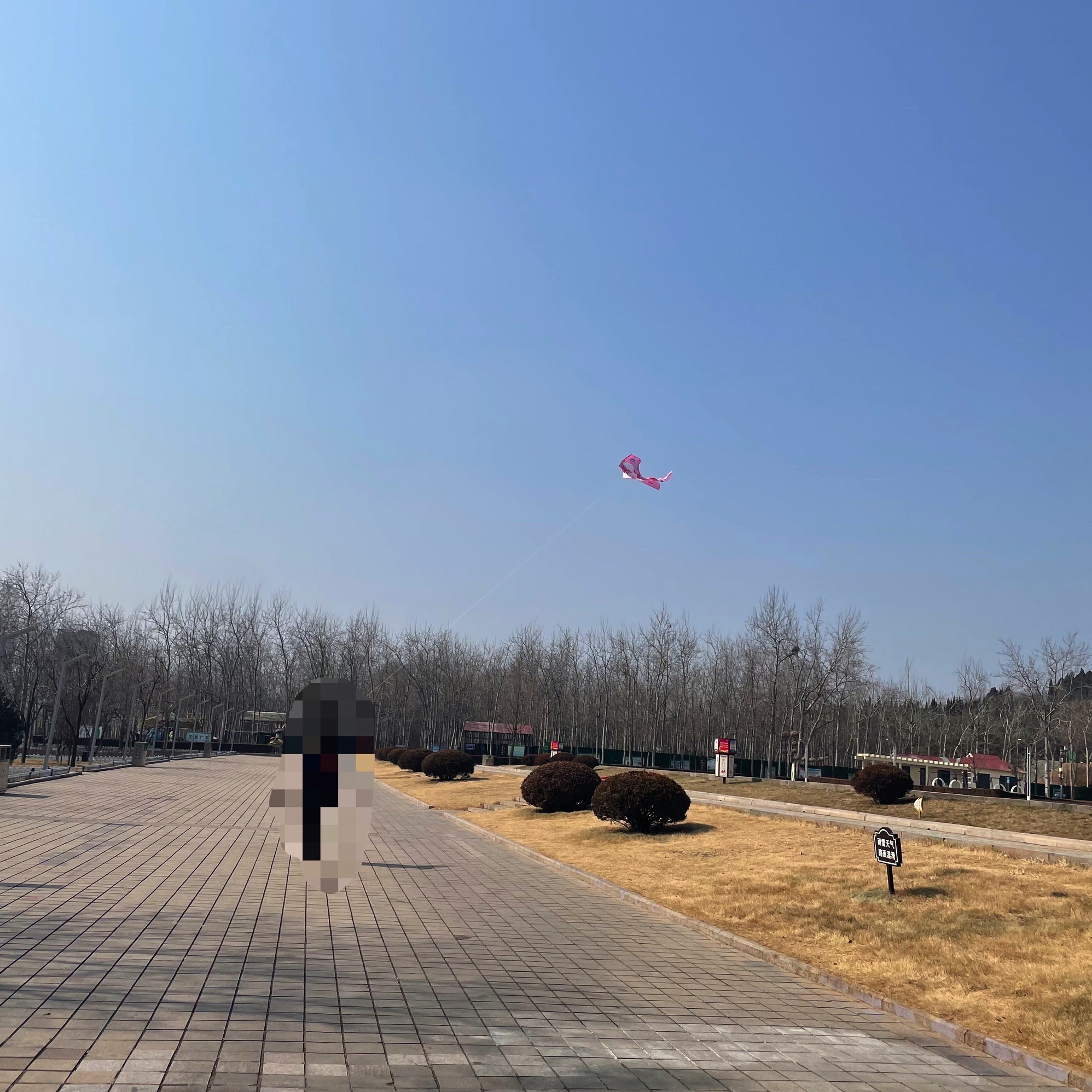 黄山广场旅行图片 2