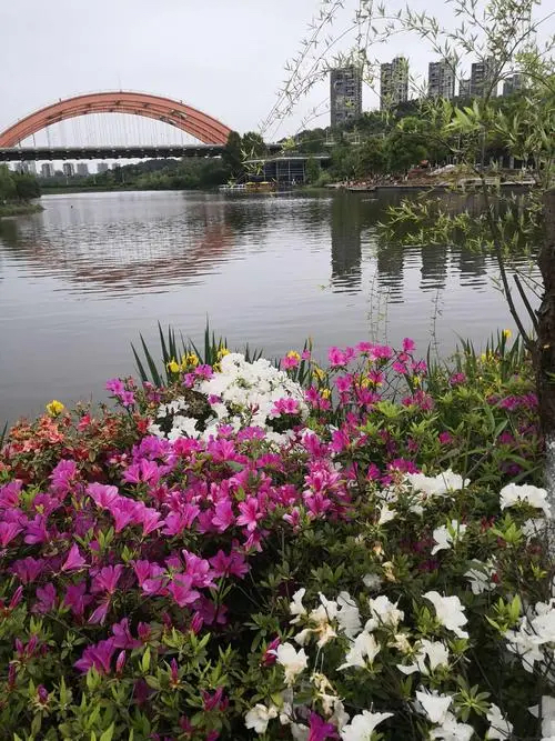 彩虹湖旅行图片 3