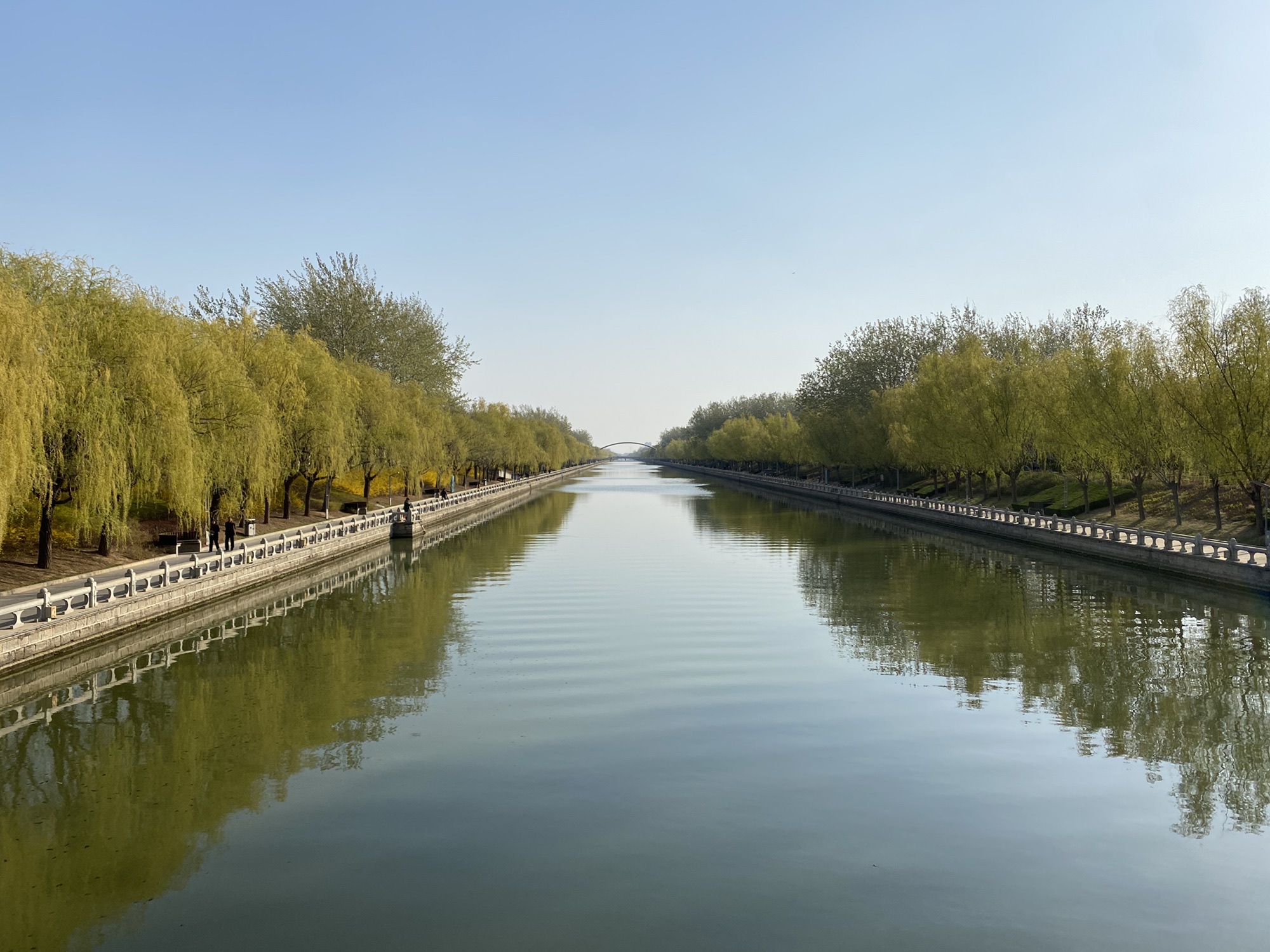新滨公园旅行图片 1