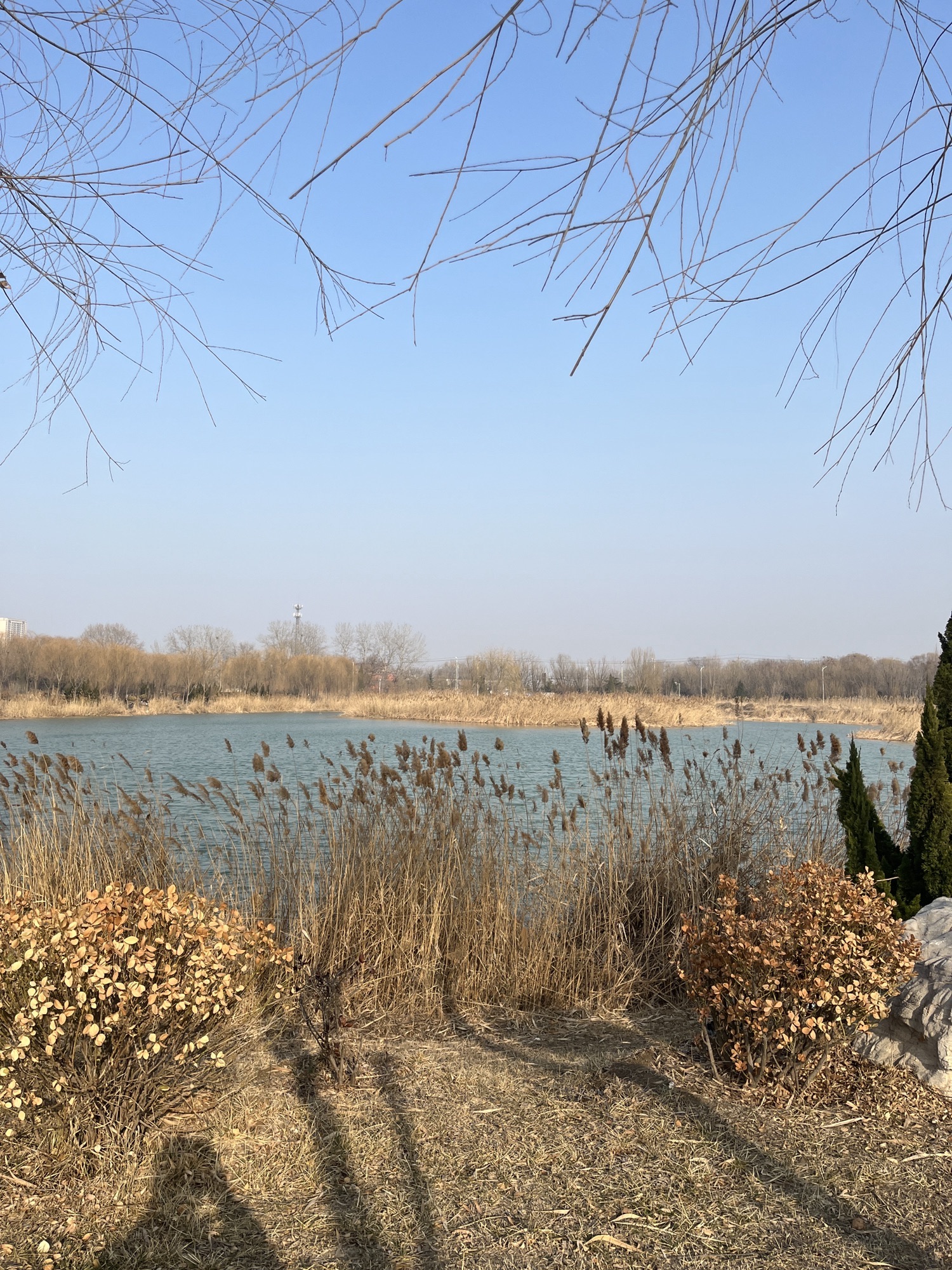 蒲湖风景区旅行图片 3