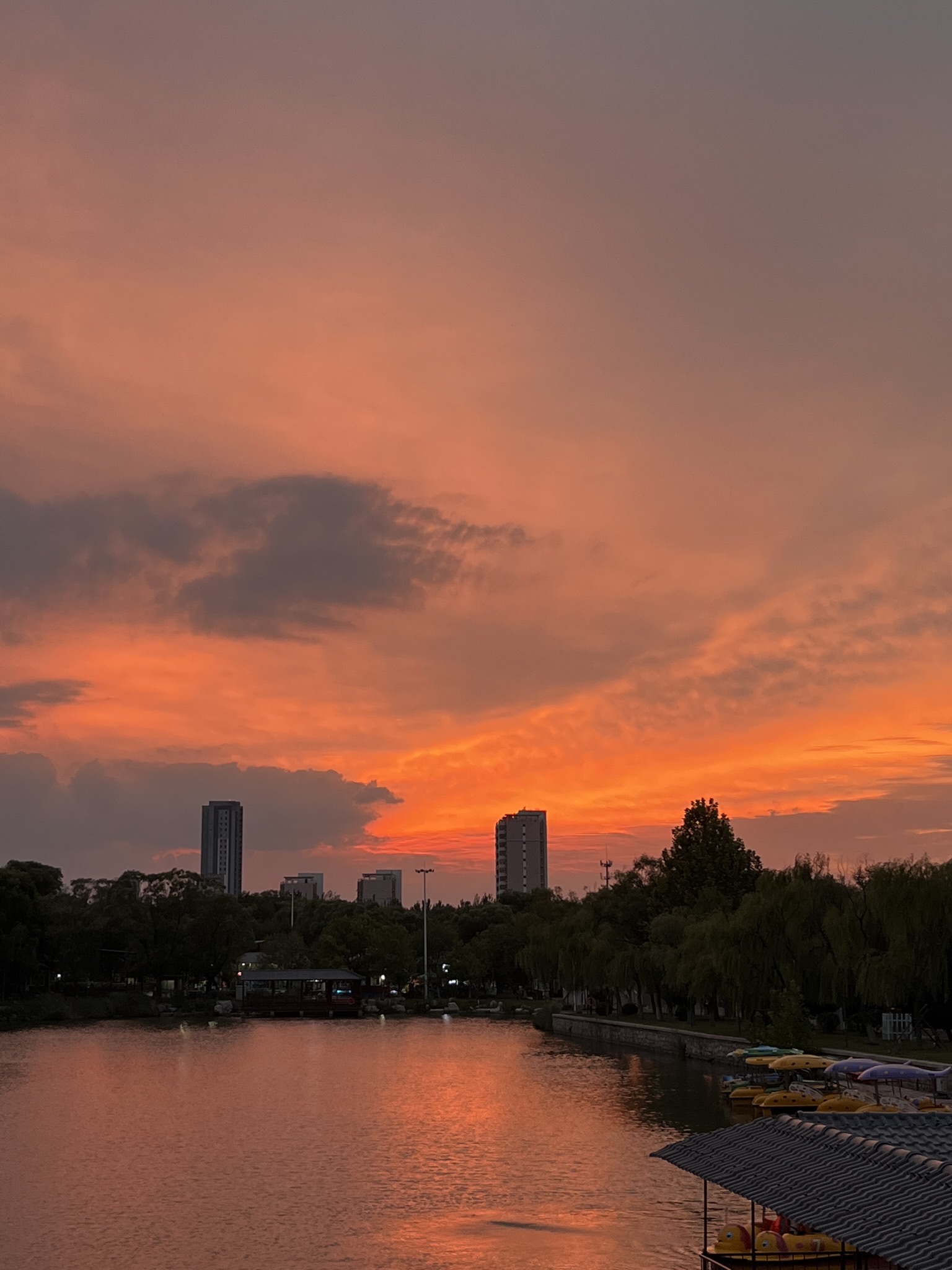 蒲湖风景区旅行图片 1