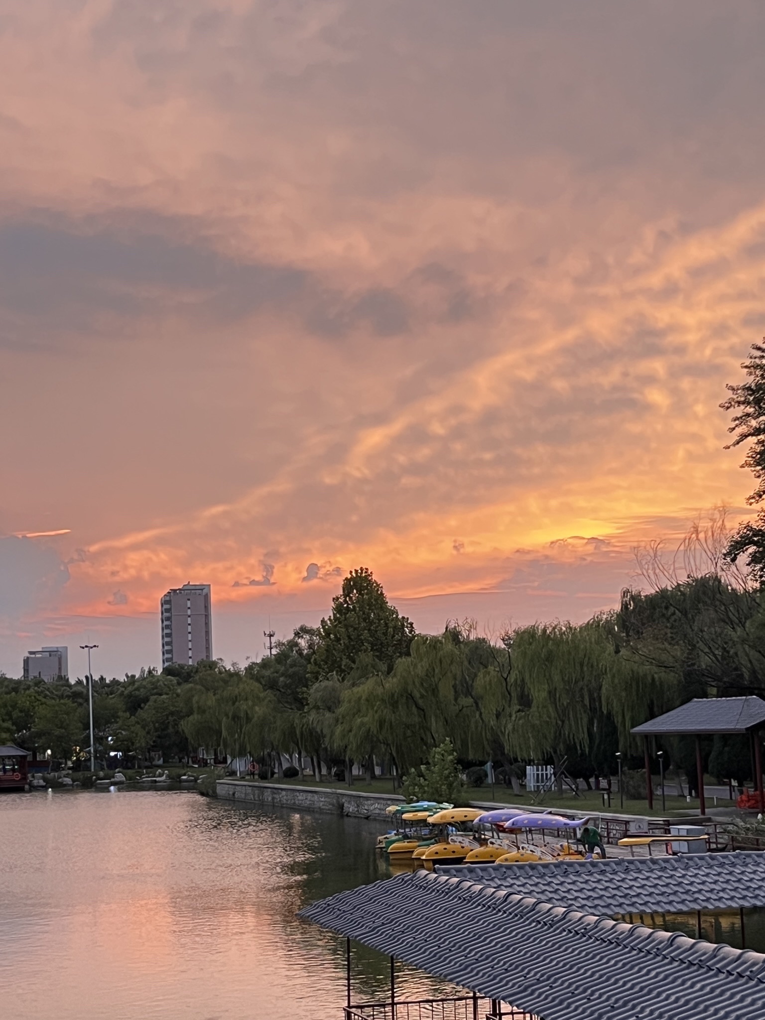 蒲湖风景区旅行图片 2