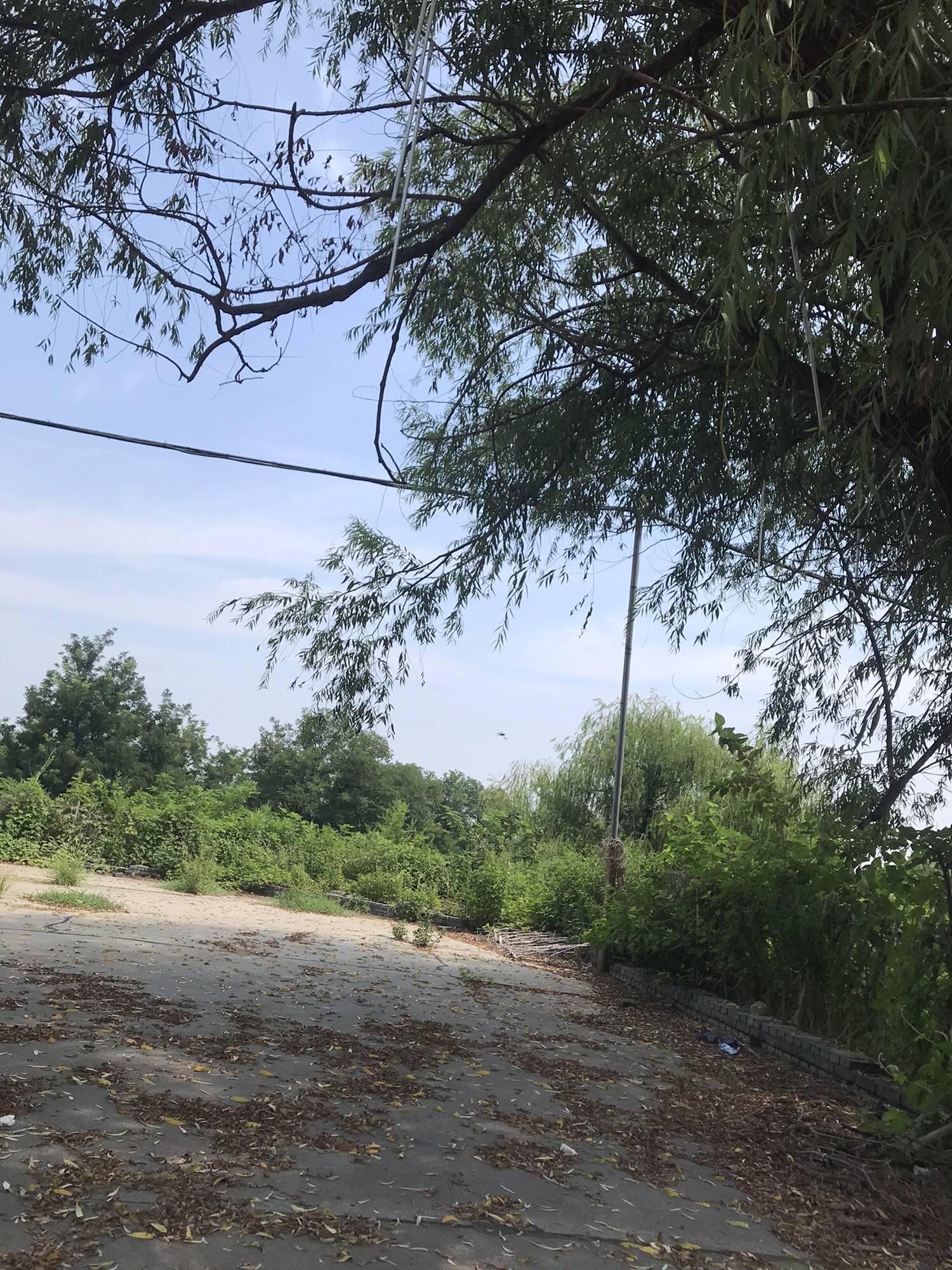 印台山旅行图片 2