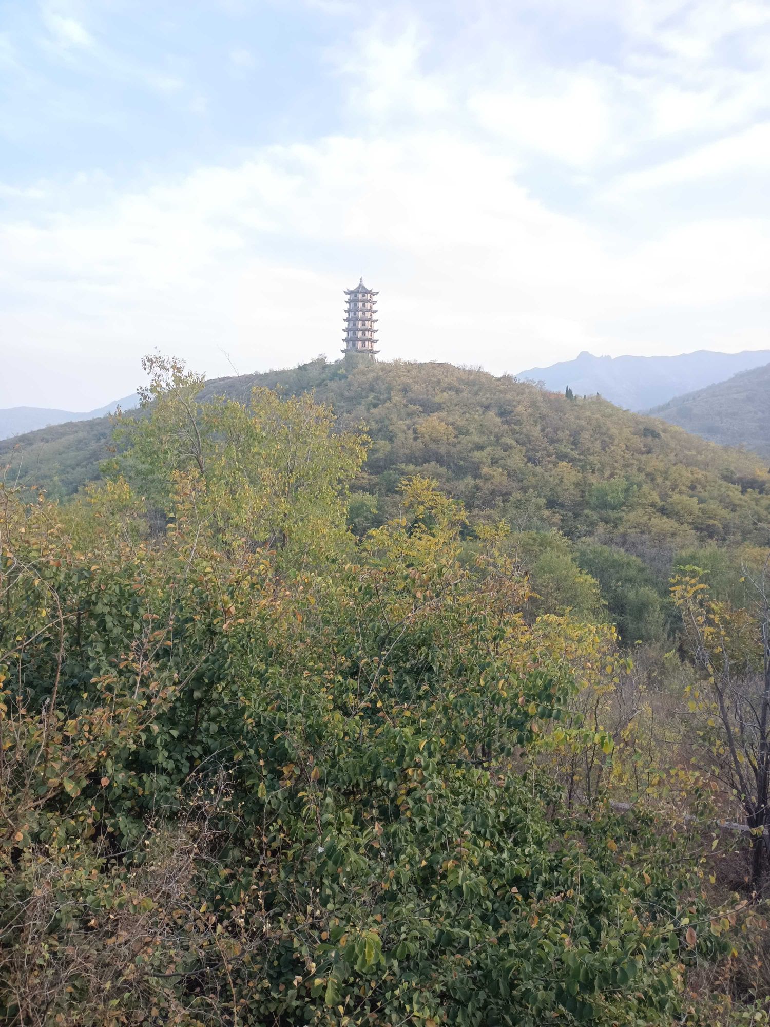 禅林胜景旅行图片 3