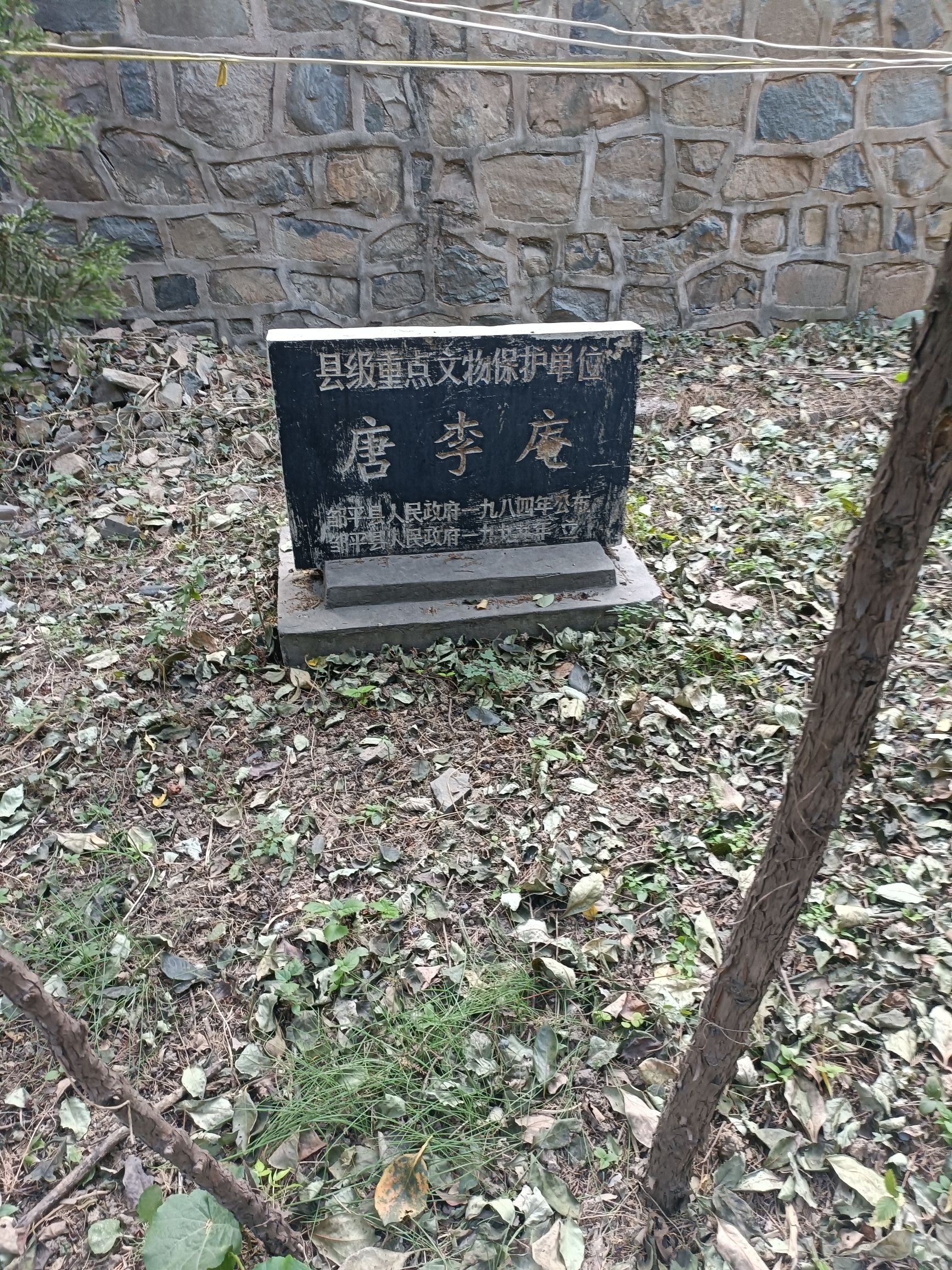 禅林胜景旅行图片 2