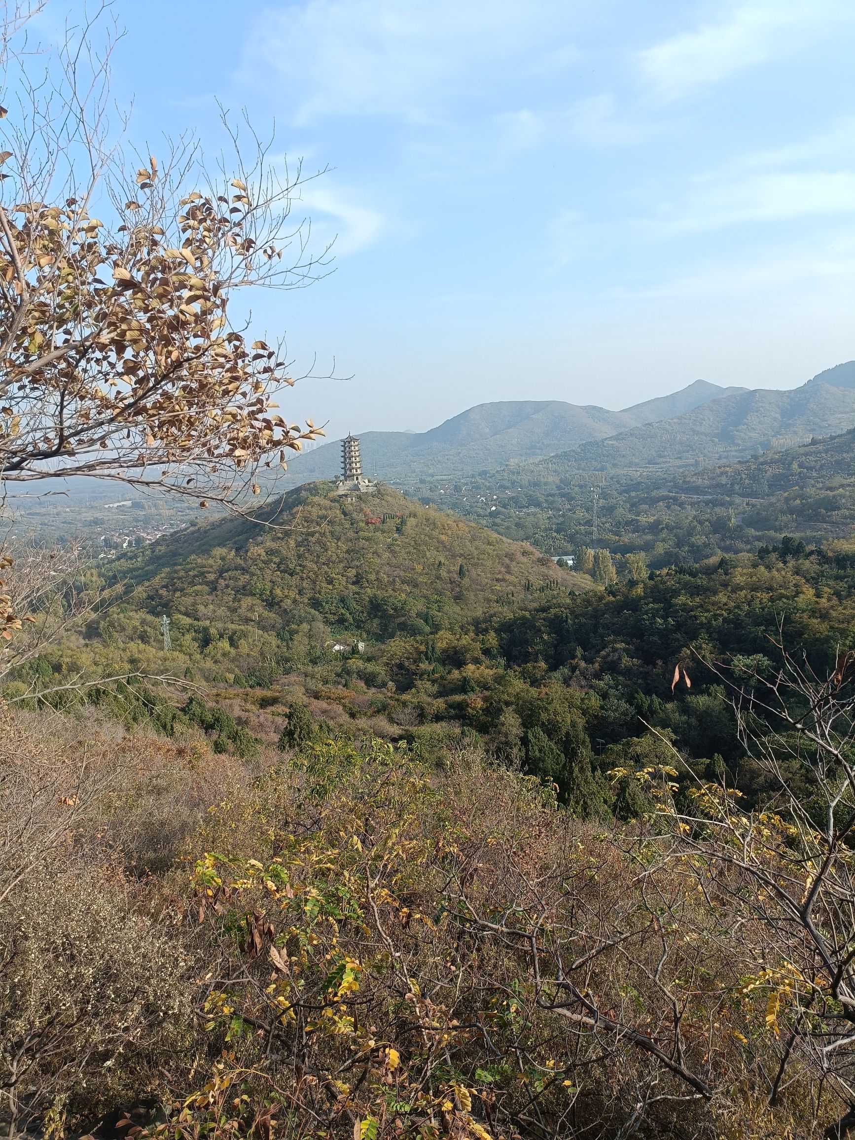 禅林胜景旅行图片 3