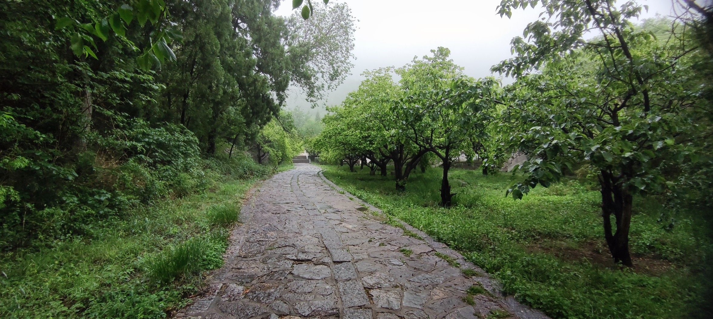 禅林胜景旅行图片 2
