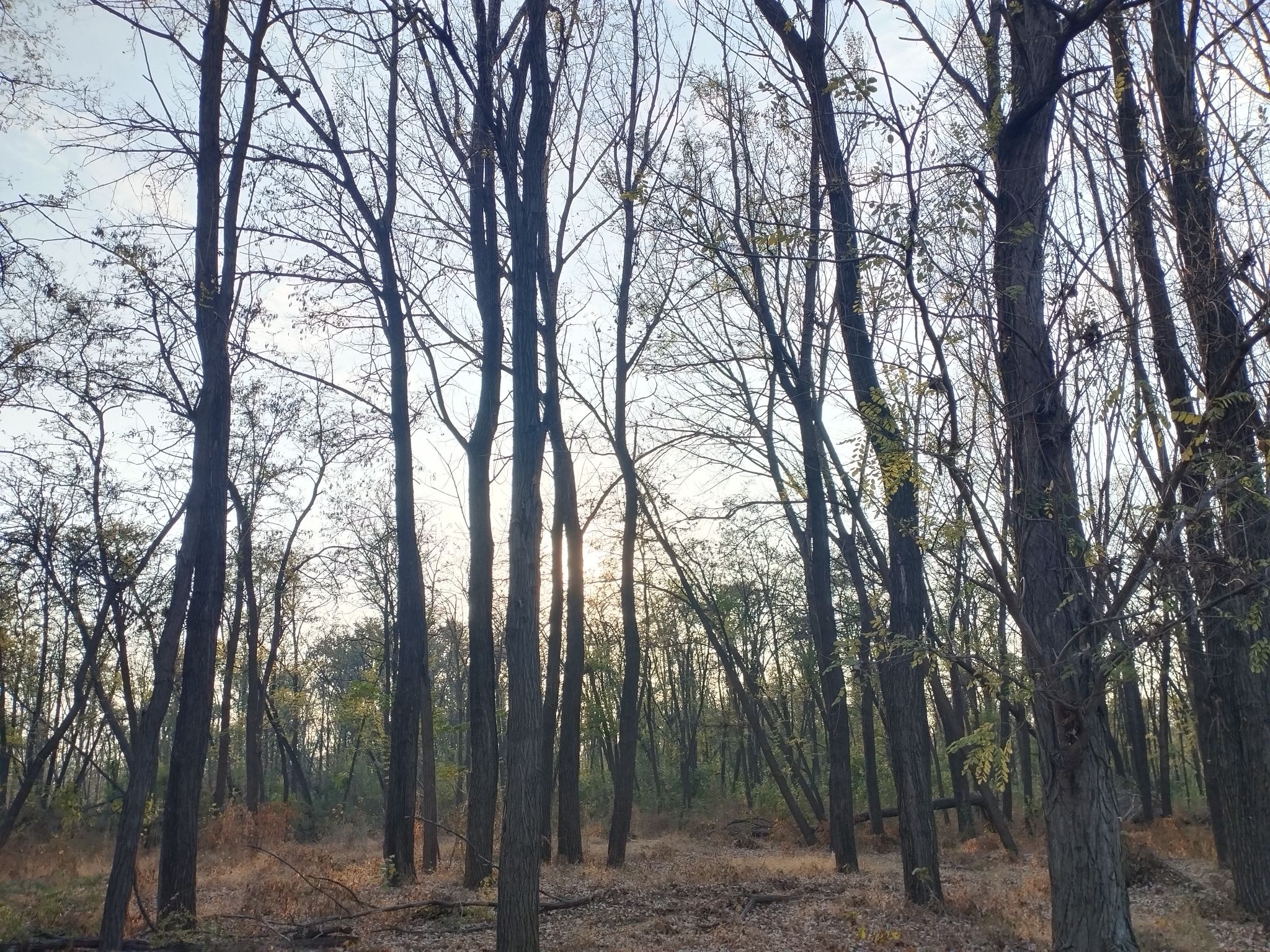 孙子故里森林公园旅行图片 3