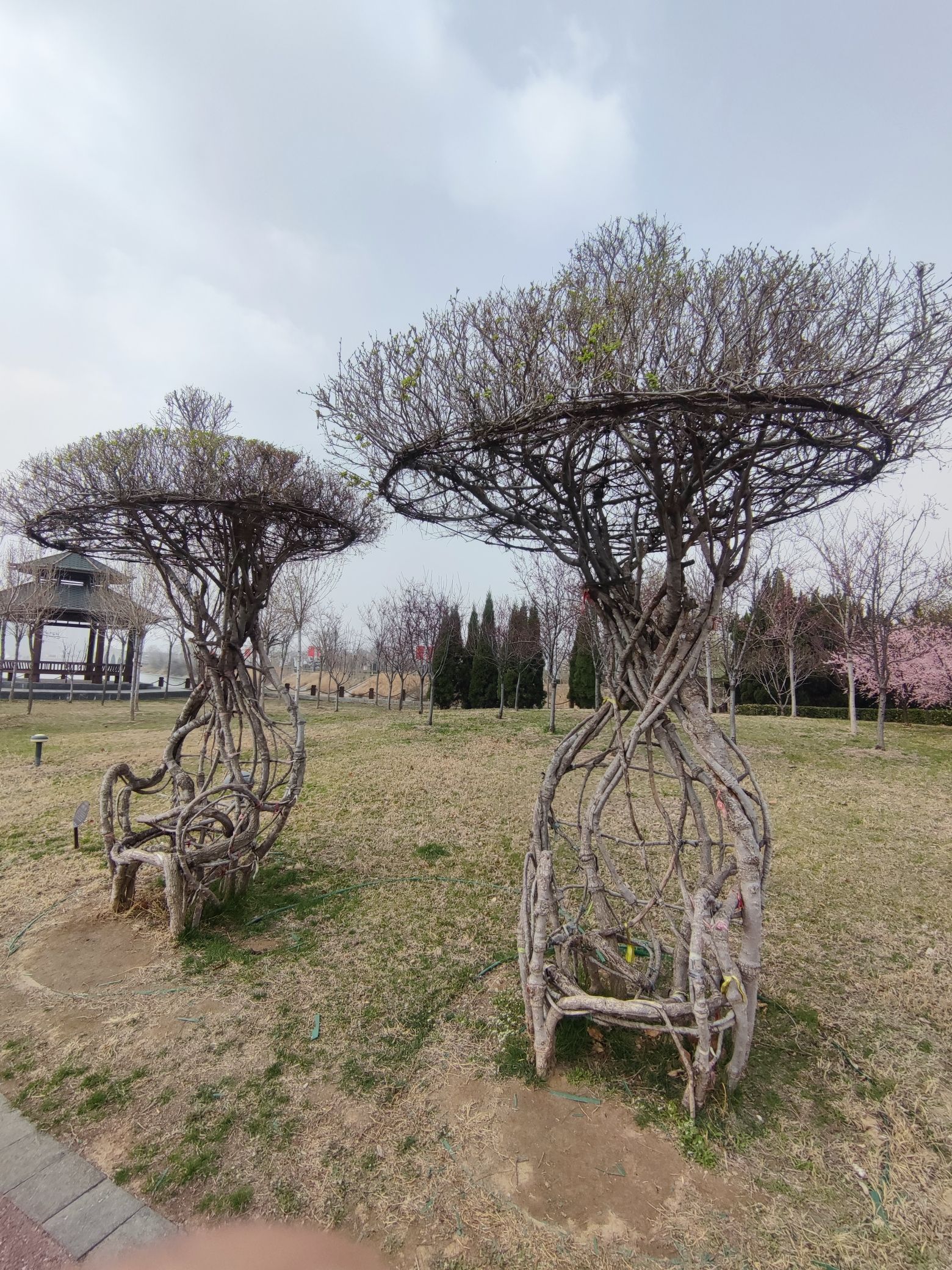 中海航母旅行图片 3