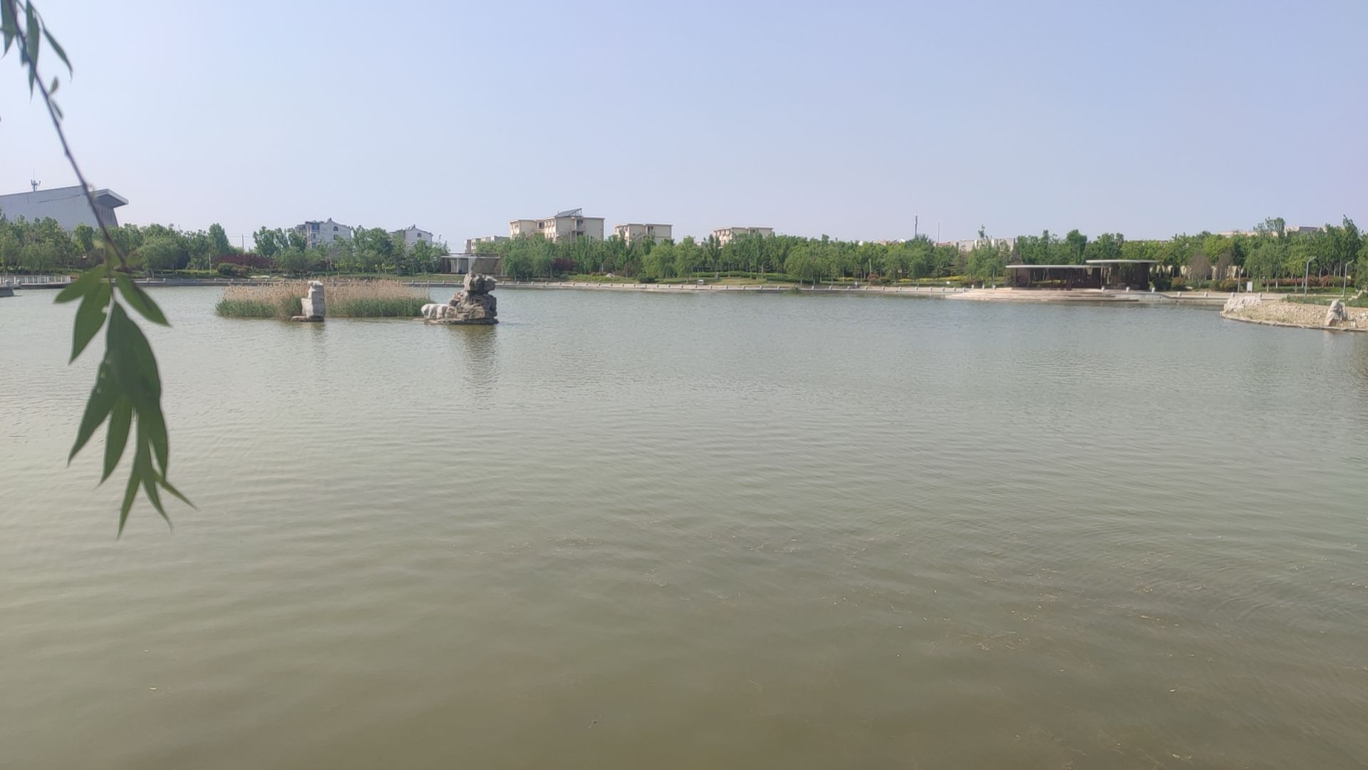胜利油田钻井公园旅行图片 3