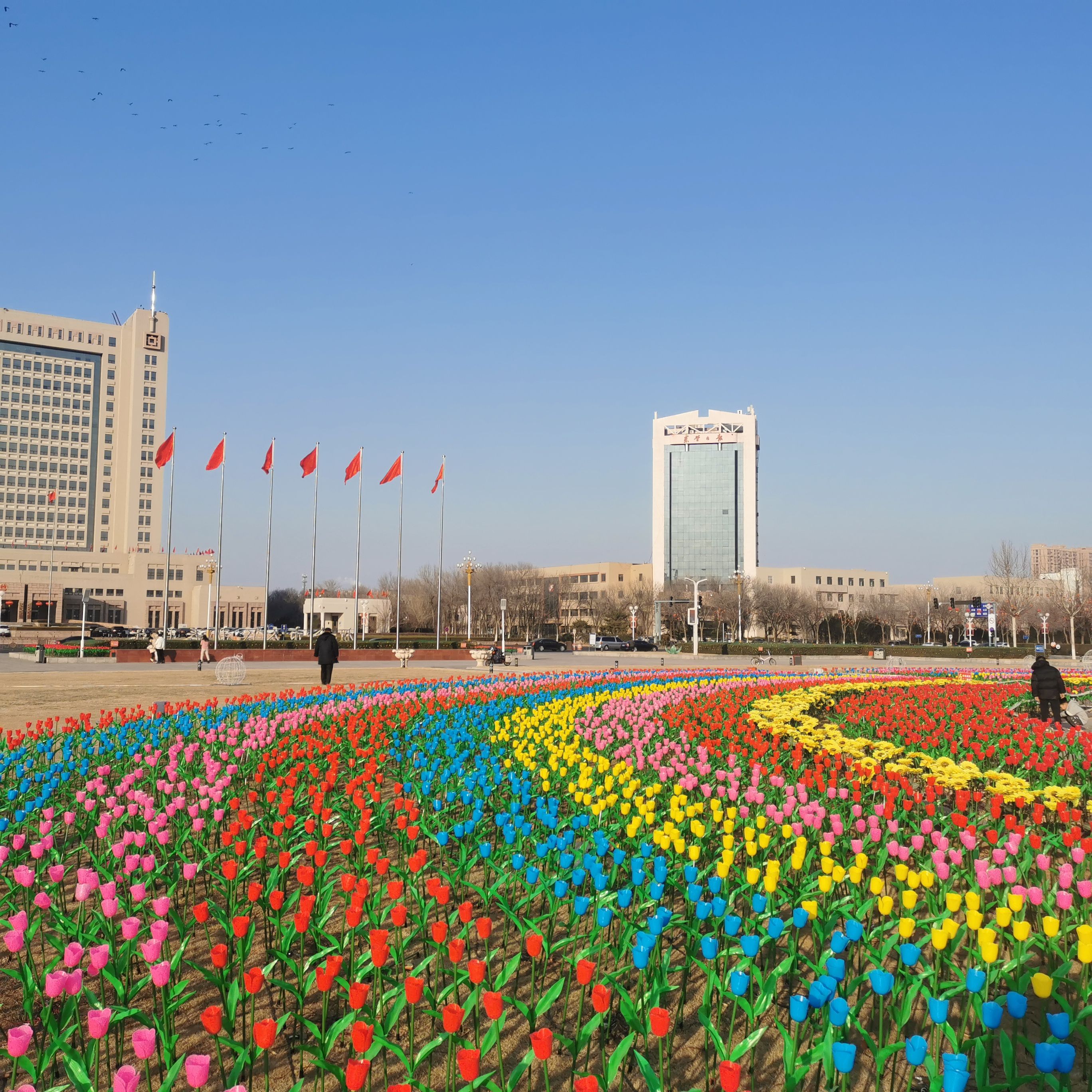 东营新世纪广场旅行图片 2